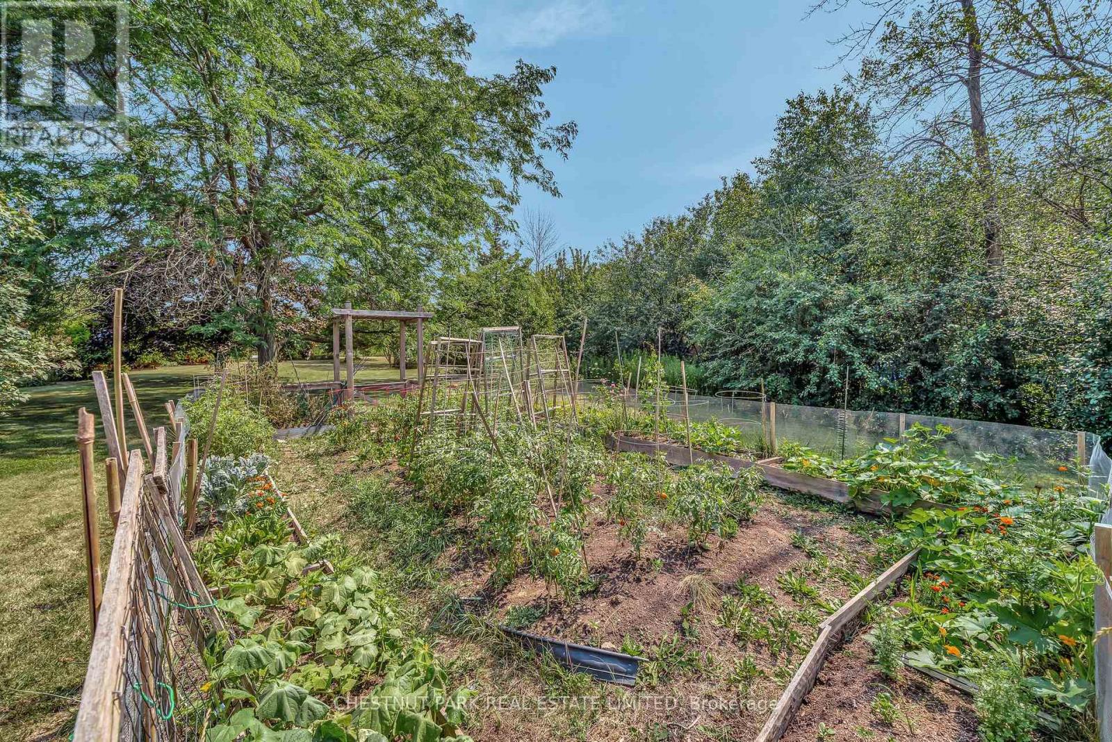 207 Carnrike Road, Prince Edward County, Ontario  K0K 1T0 - Photo 34 - X12332520