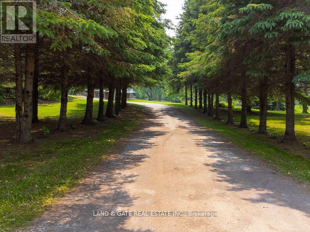 354 Labarge Road, Tweed, Ontario  K0K 3J0 - Photo 2 - X12336393