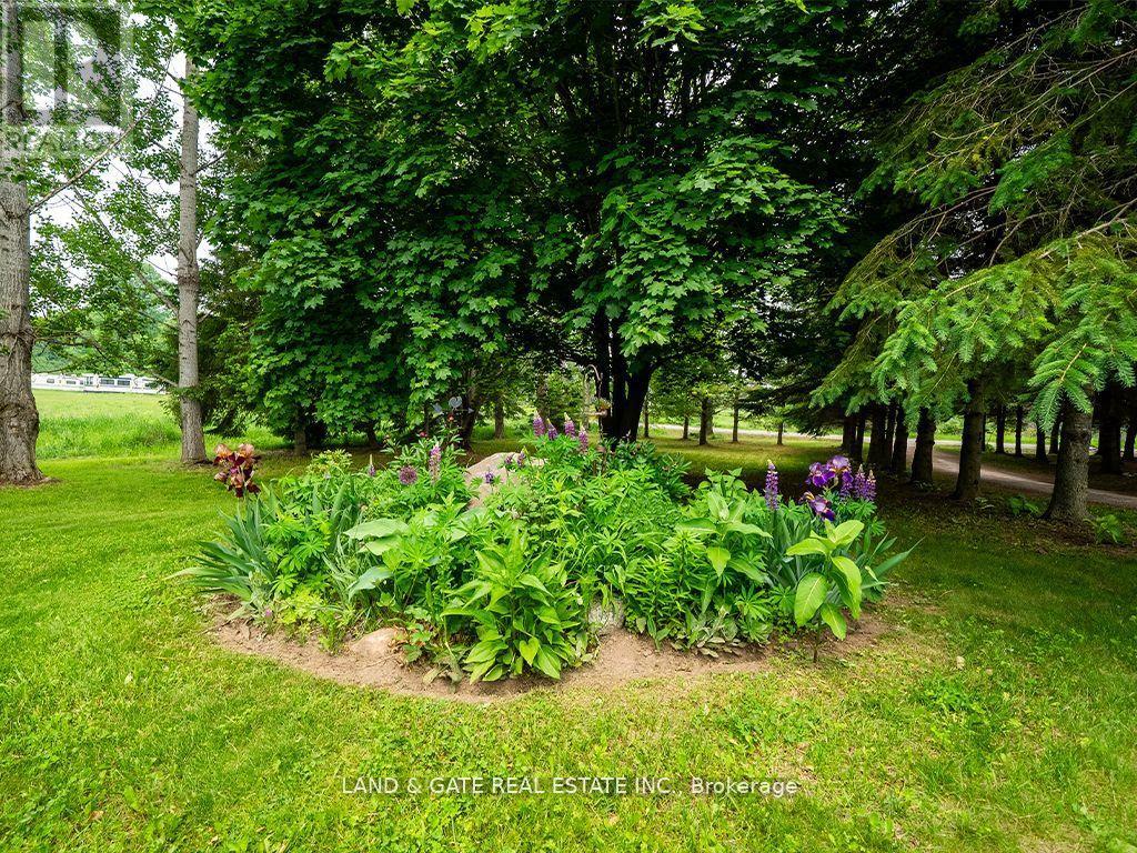 354 Labarge Road, Tweed, Ontario  K0K 3J0 - Photo 35 - X12336393