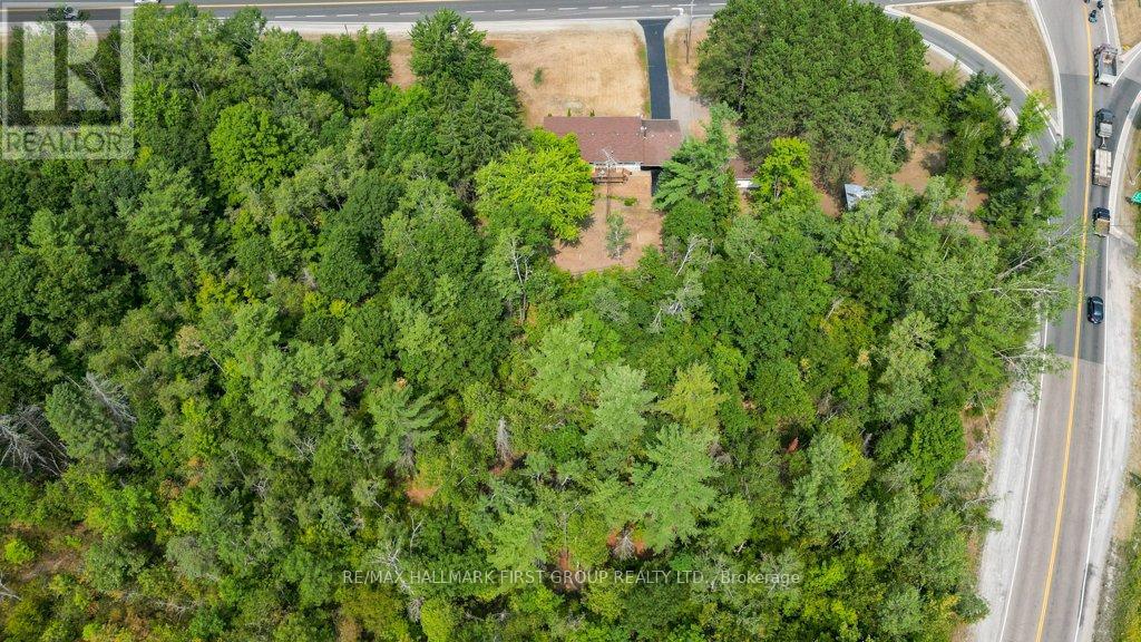 108666 Highway 7, Tweed, Ontario  K0K 3J0 - Photo 41 - X12337208