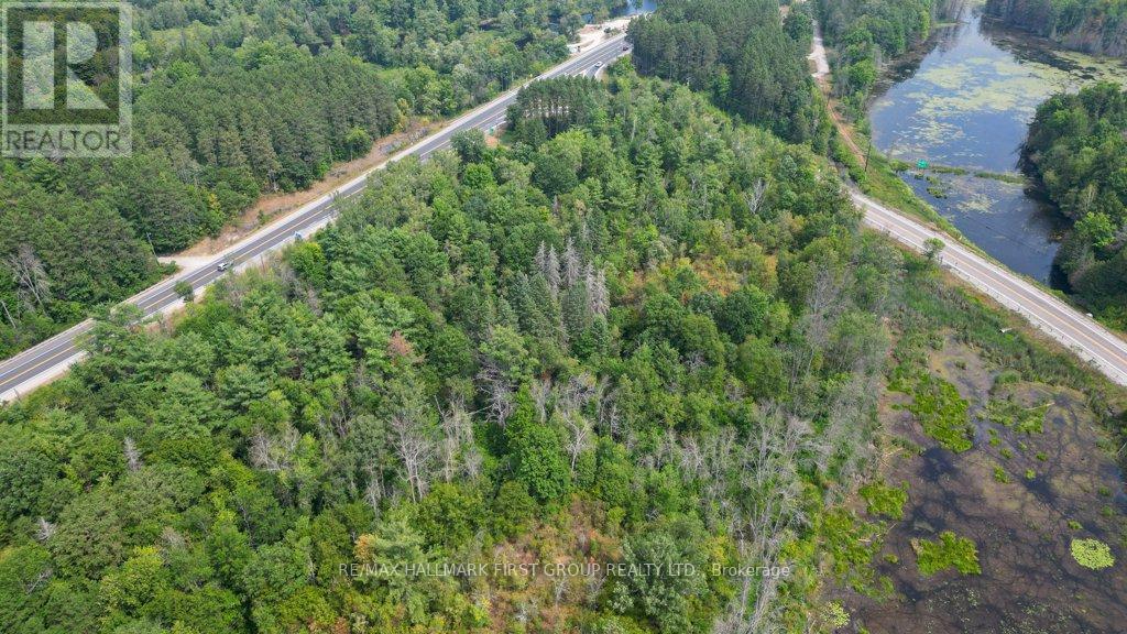 108666 Highway 7, Tweed, Ontario  K0K 3J0 - Photo 44 - X12337208