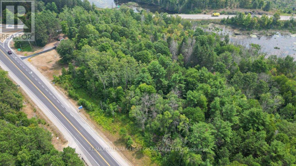 108666 Highway 7, Tweed, Ontario  K0K 3J0 - Photo 46 - X12337208