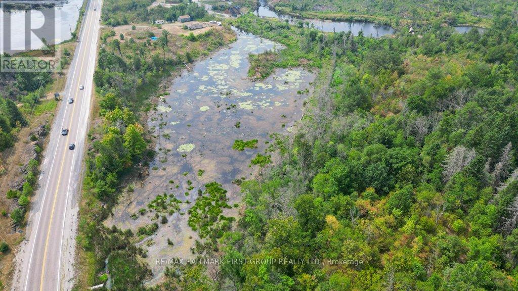 108666 Highway 7, Tweed, Ontario  K0K 3J0 - Photo 47 - X12337208