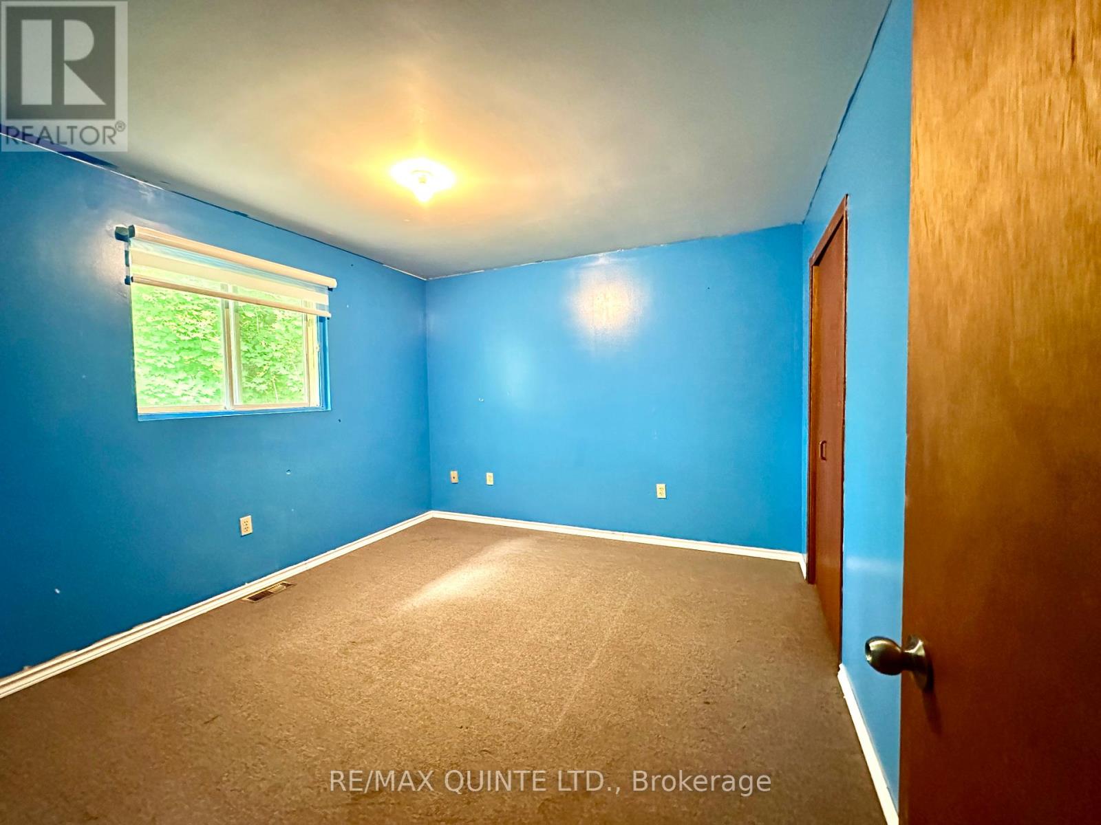 13 Colborne Street, Centre Hastings, Ontario  K0K 2K0 - Photo 8 - X12341968