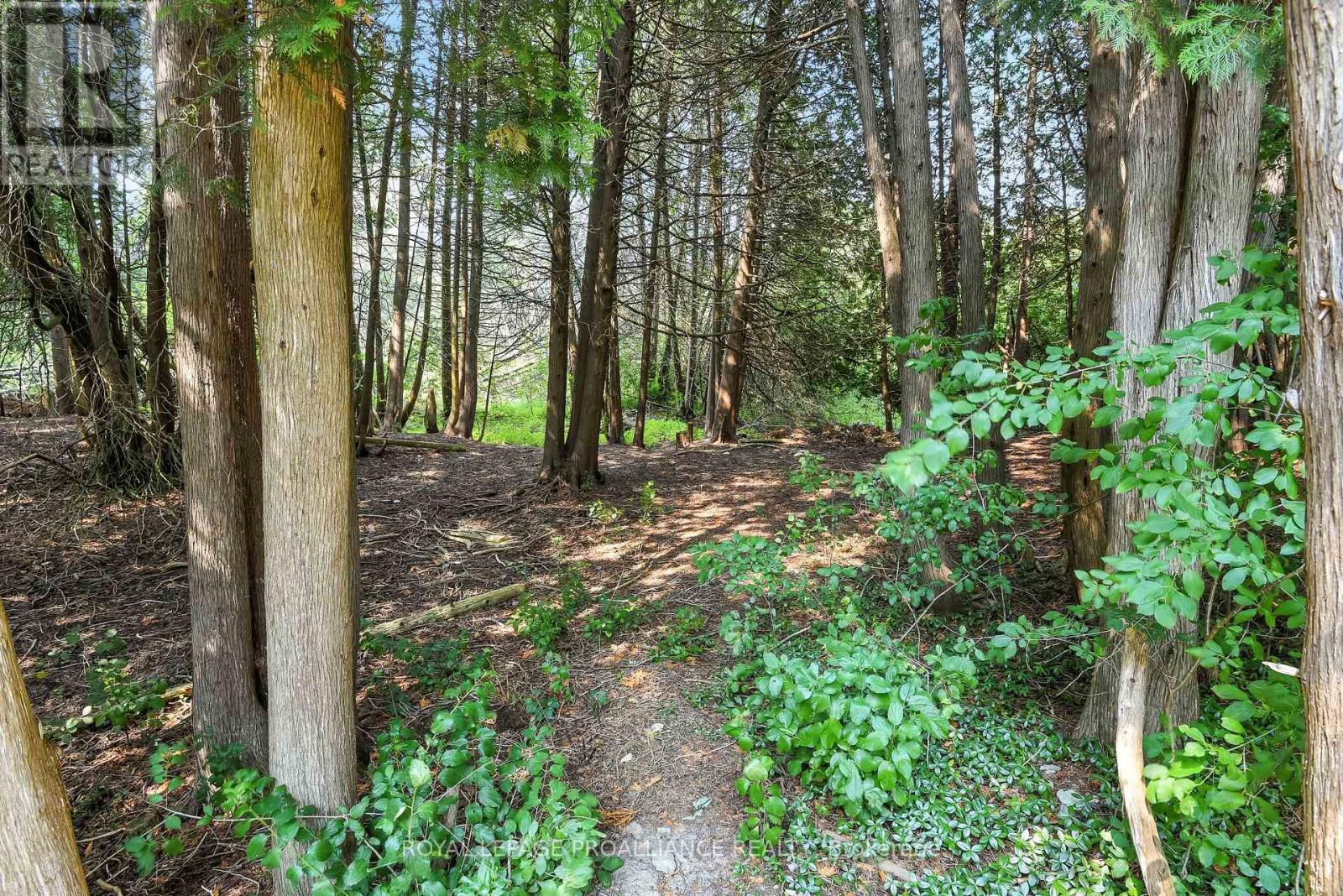 11 Mill Pond Court, Brighton, Ontario  K0K 1H0 - Photo 45 - X12344376