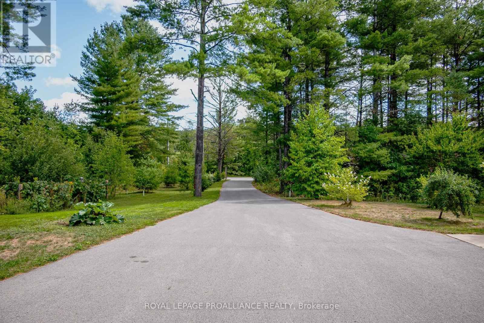 770 Victoria Street N, Tweed, Ontario  K0K 3J0 - Photo 8 - X12364878