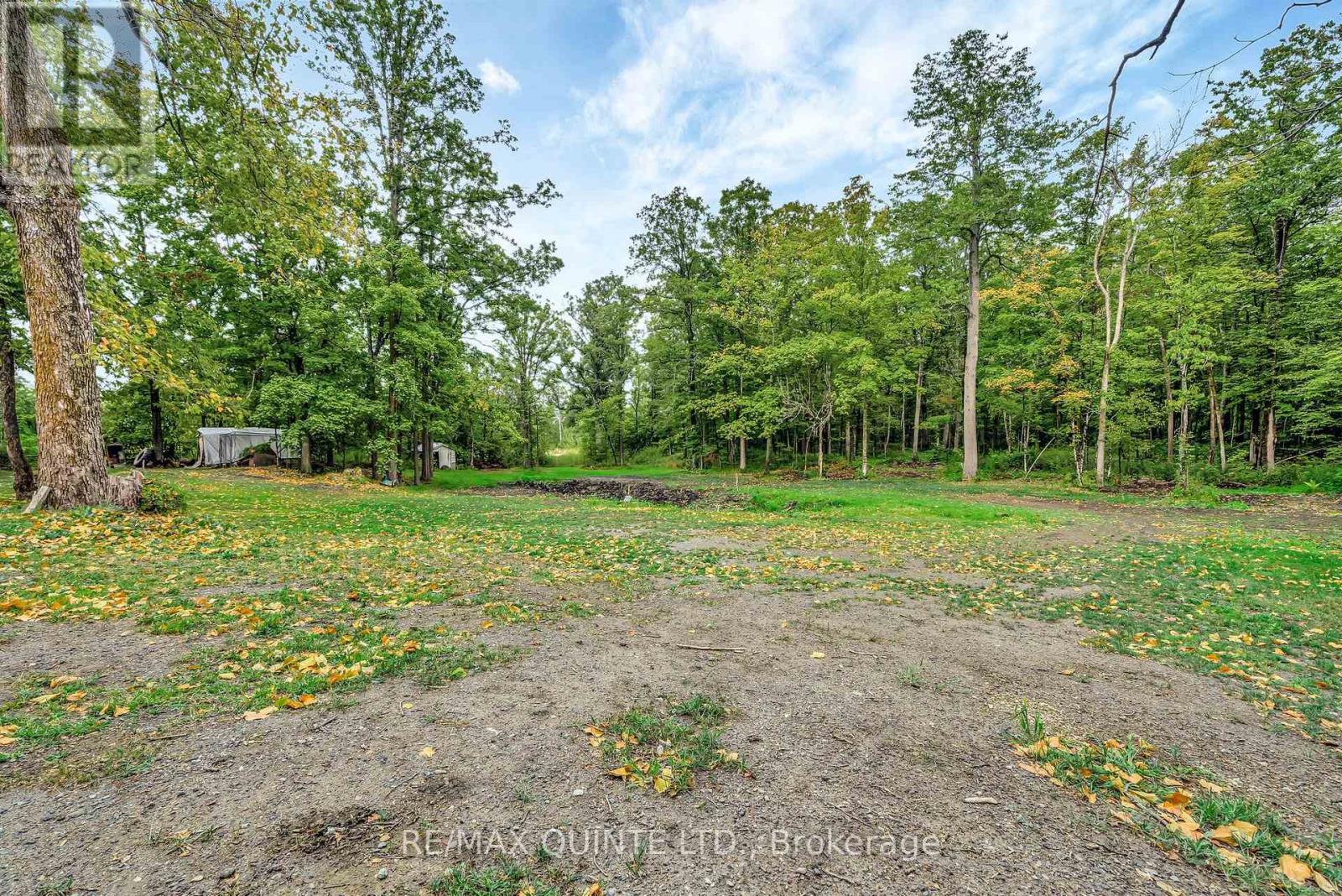 14184 Highway 62, Madoc, Ontario  K0K 2K0 - Photo 24 - X12365867