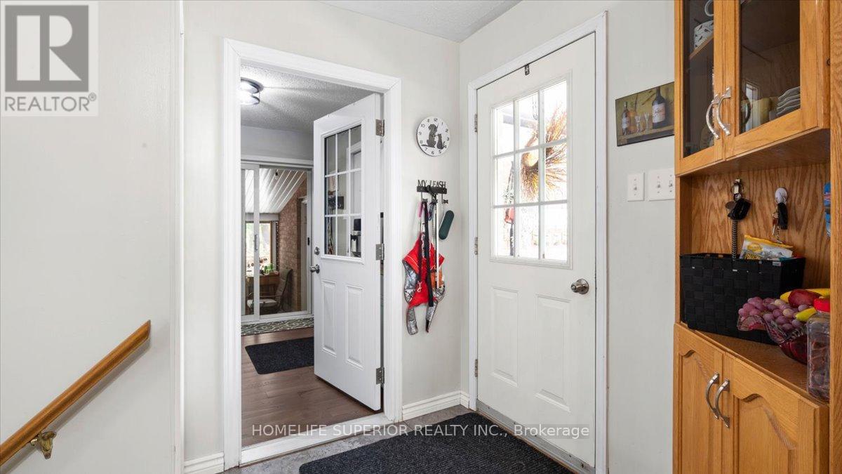 226 Lahey Road E, Centre Hastings, Ontario  K0K 2M0 - Photo 13 - X12366660
