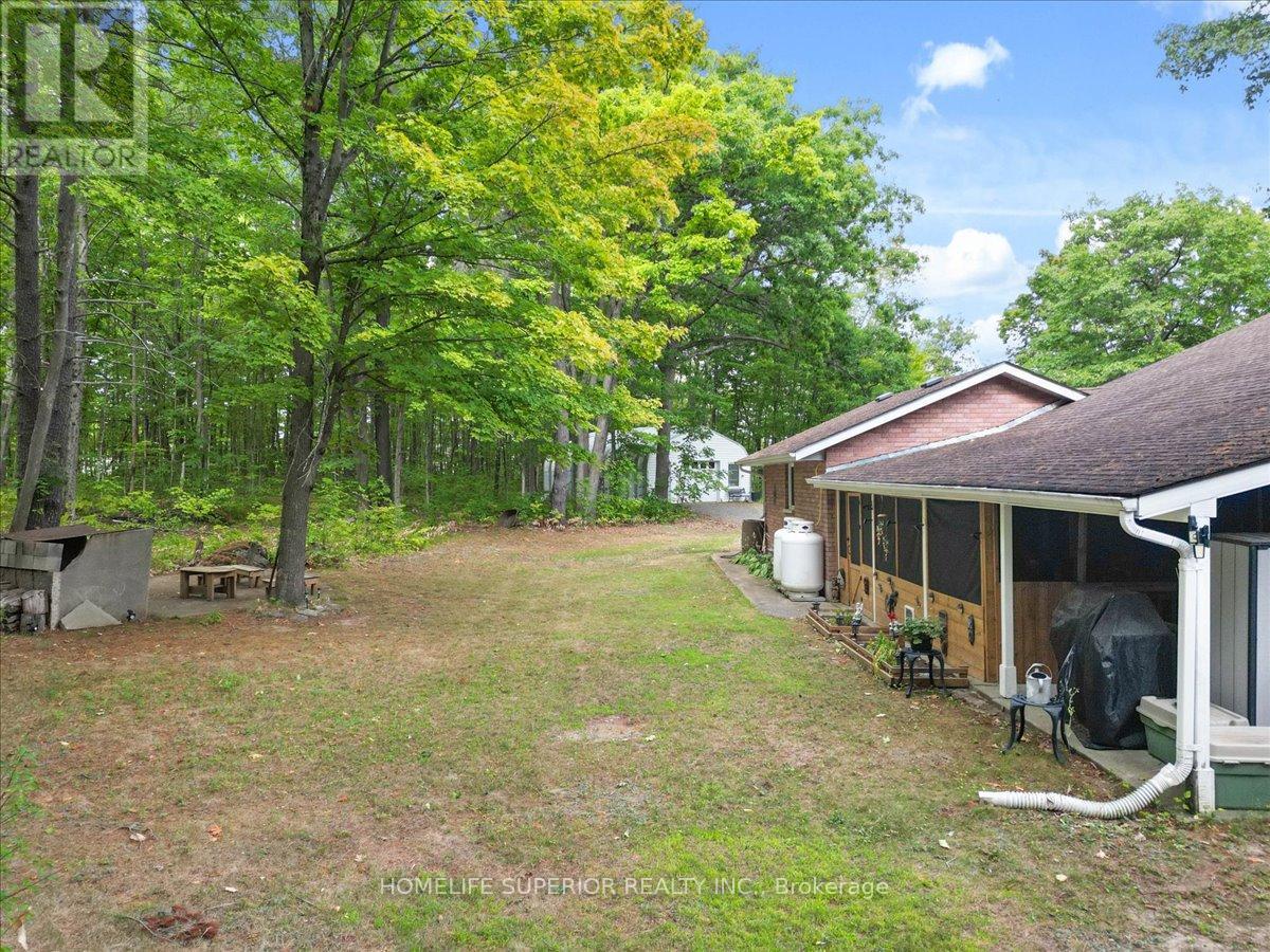 226 Lahey Road E, Centre Hastings, Ontario  K0K 2M0 - Photo 31 - X12366660