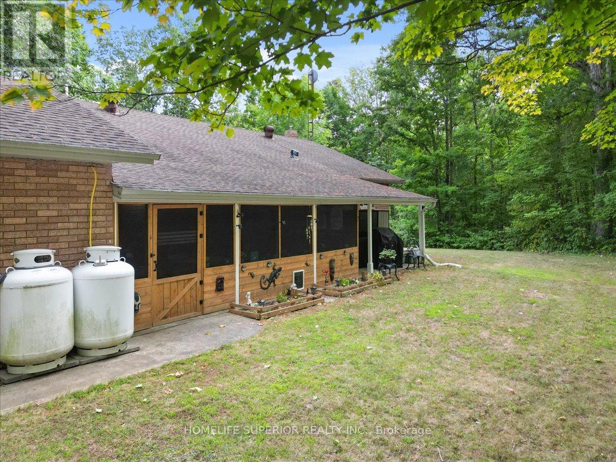 226 Lahey Road E, Centre Hastings, Ontario  K0K 2M0 - Photo 32 - X12366660