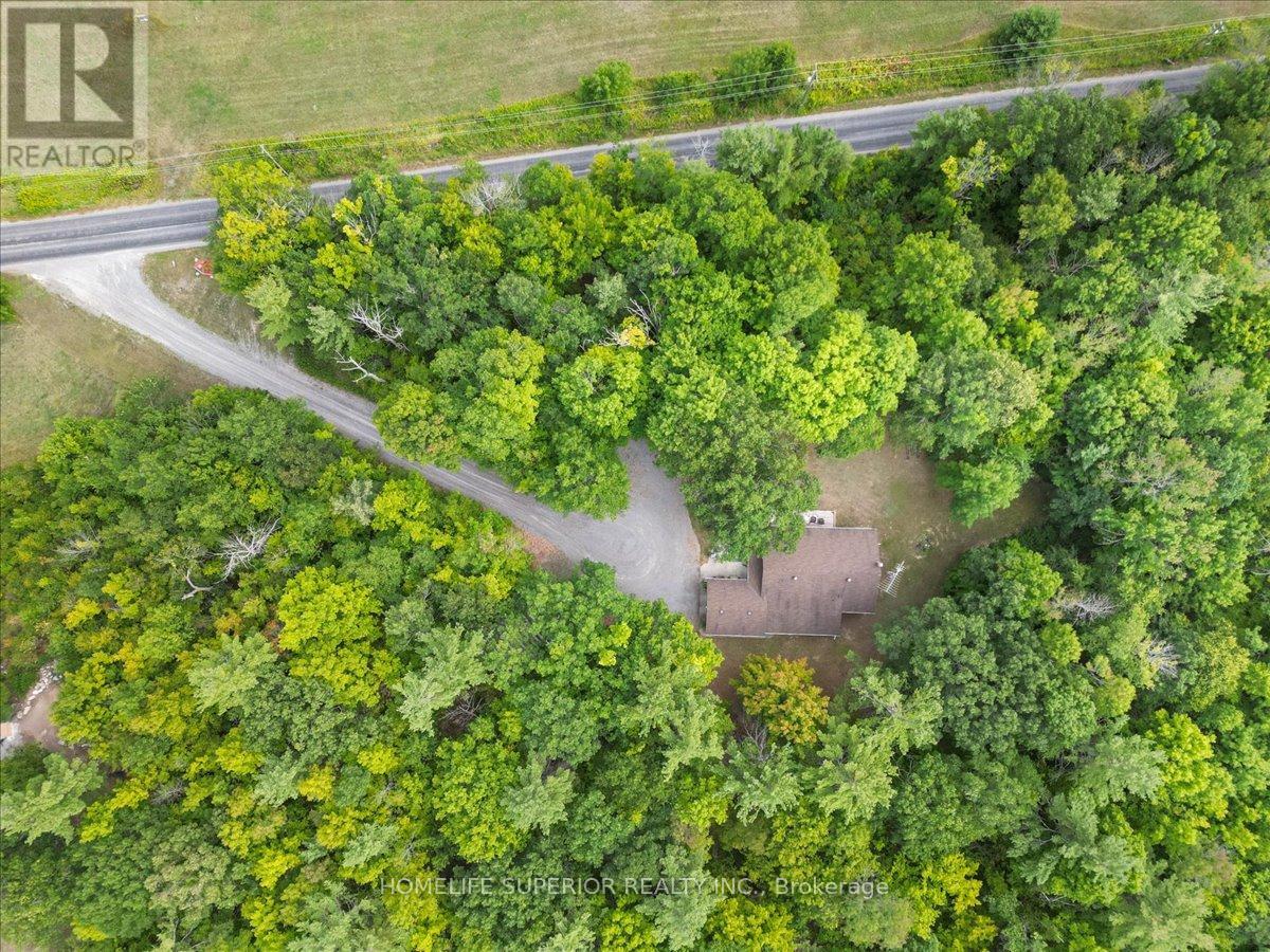 226 Lahey Road E, Centre Hastings, Ontario  K0K 2M0 - Photo 37 - X12366660