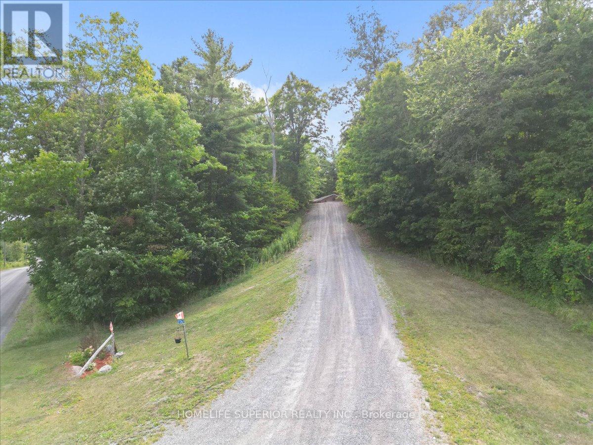 226 Lahey Road E, Centre Hastings, Ontario  K0K 2M0 - Photo 39 - X12366660
