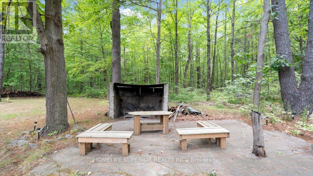 226 Lahey Road E, Centre Hastings, Ontario  K0K 2M0 - Photo 40 - X12366660