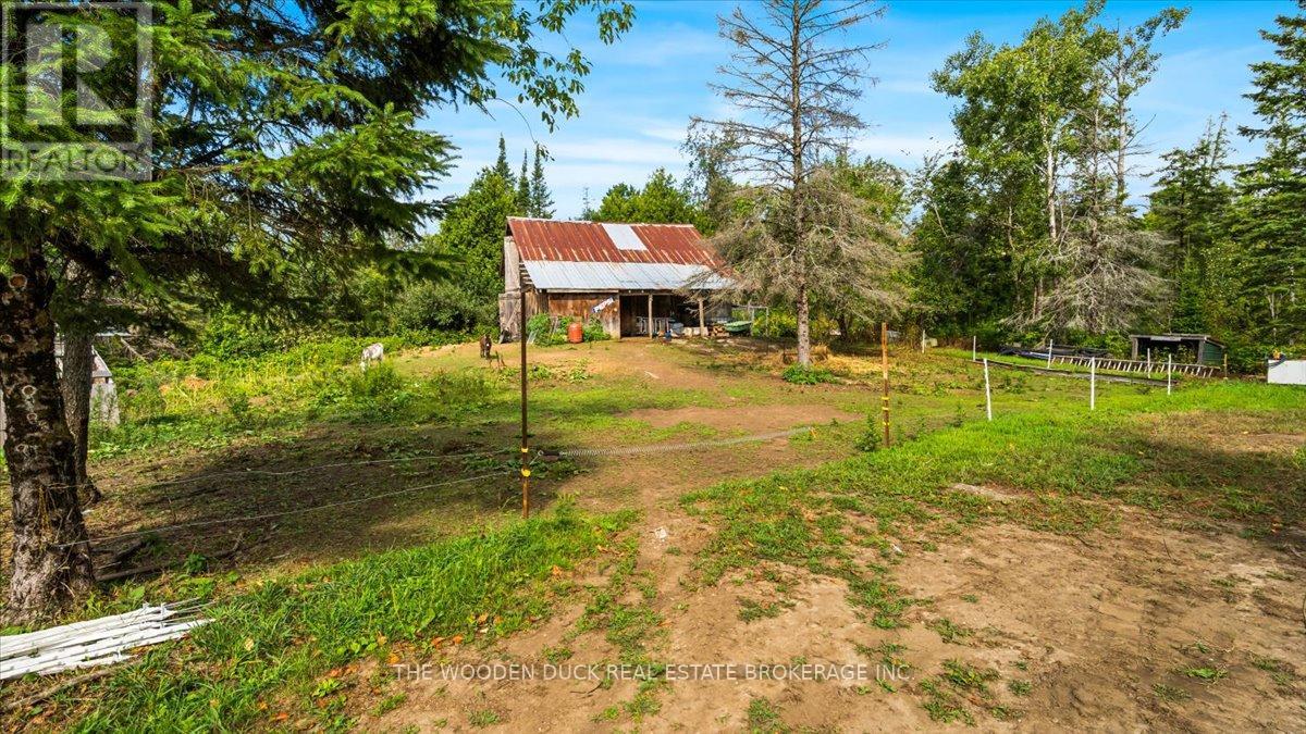 7953 Old Hasting Road, Tudor And Cashel, Ontario  K0K 1Y0 - Photo 34 - X12367572