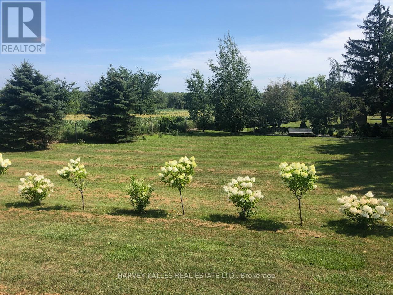 13667 Loyalist Parkway, Prince Edward County, Ontario  K0K 2T0 - Photo 50 - X12369439