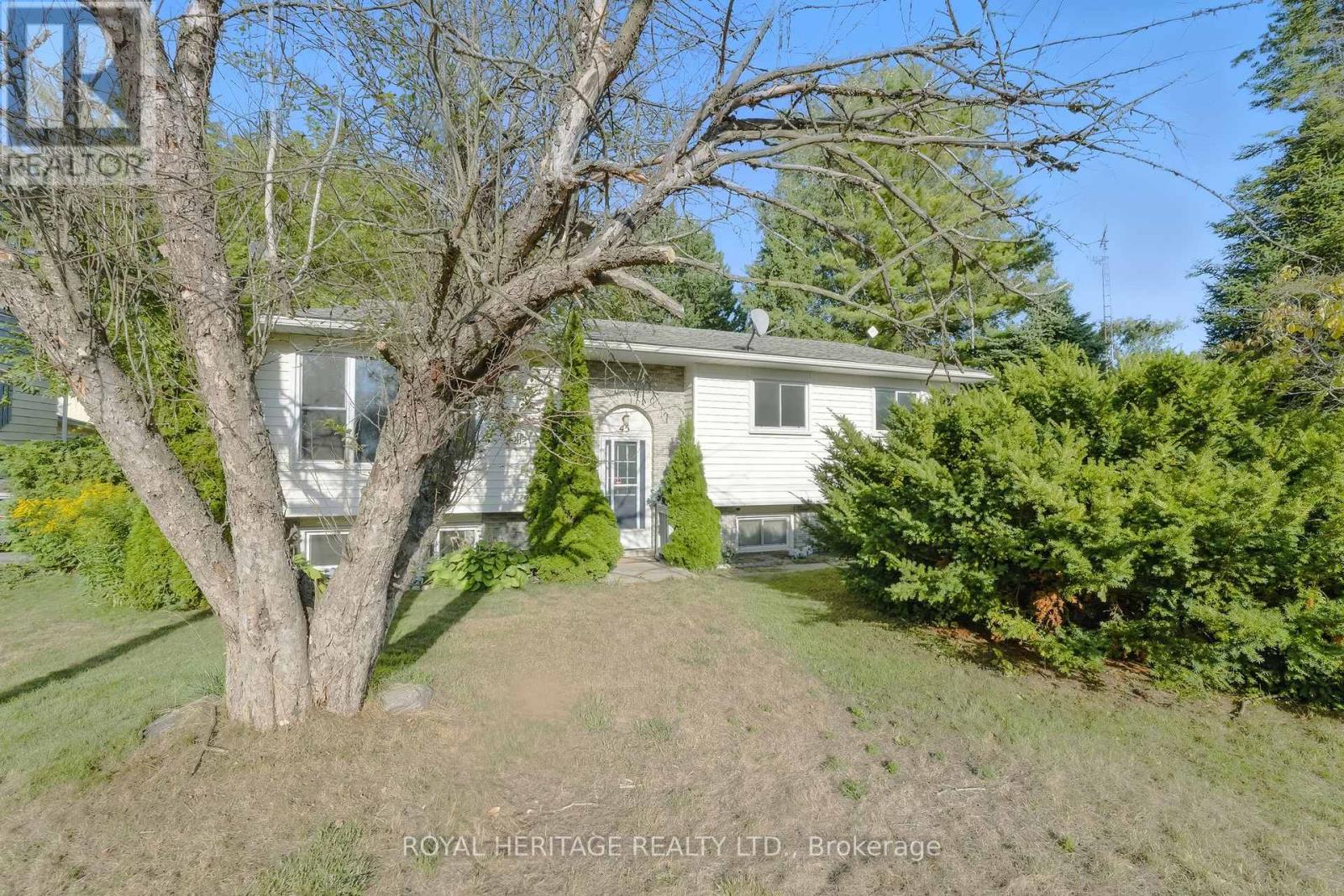 45 MAPLEWOOD AVENUE, Brighton, Ontario