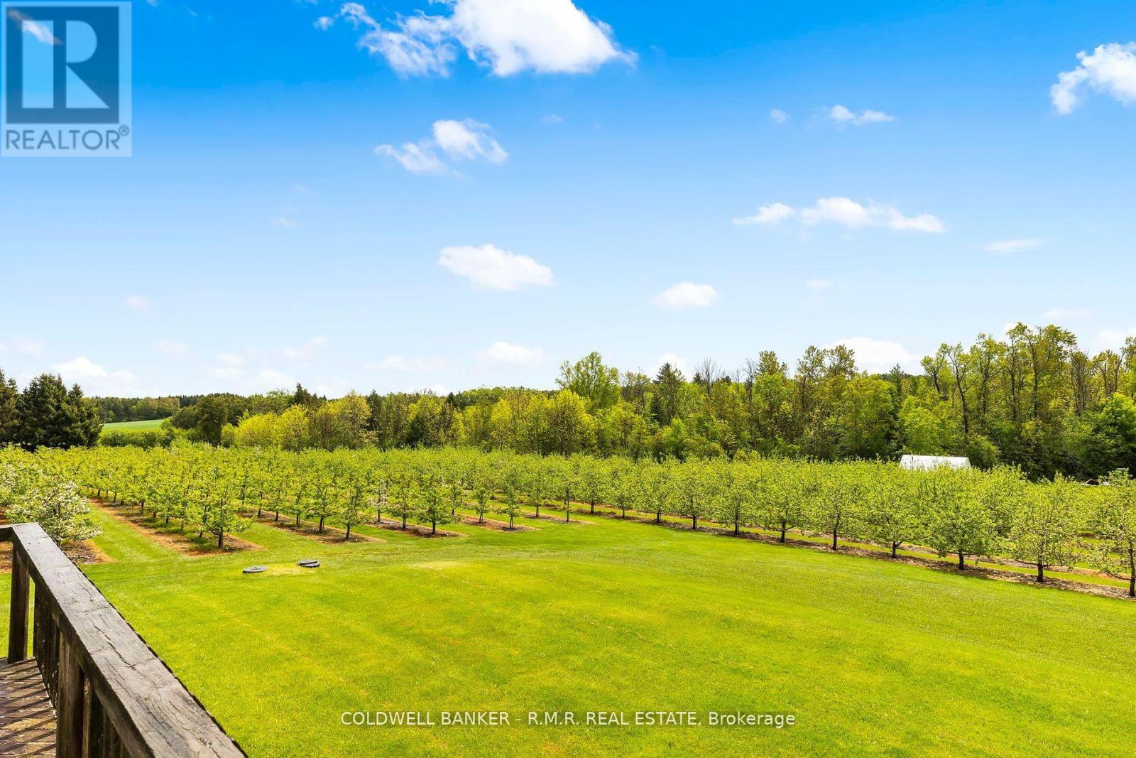 223 Turk Road, Alnwick/haldimand, Ontario  K0K 2G0 - Photo 39 - X12374056