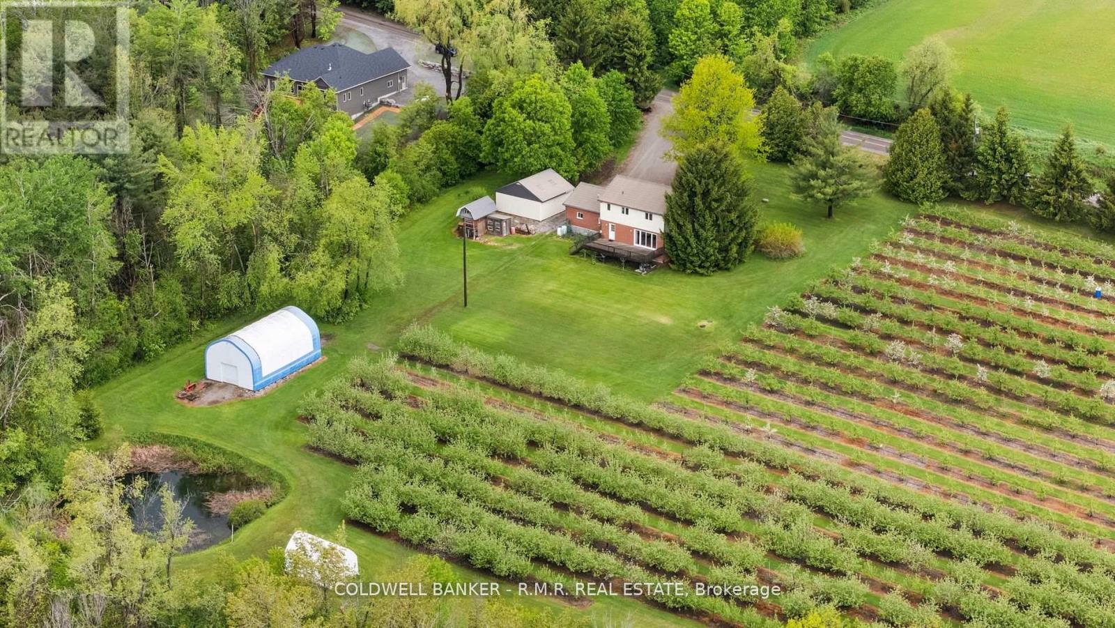 223 Turk Road, Alnwick/haldimand, Ontario  K0K 2G0 - Photo 43 - X12374056