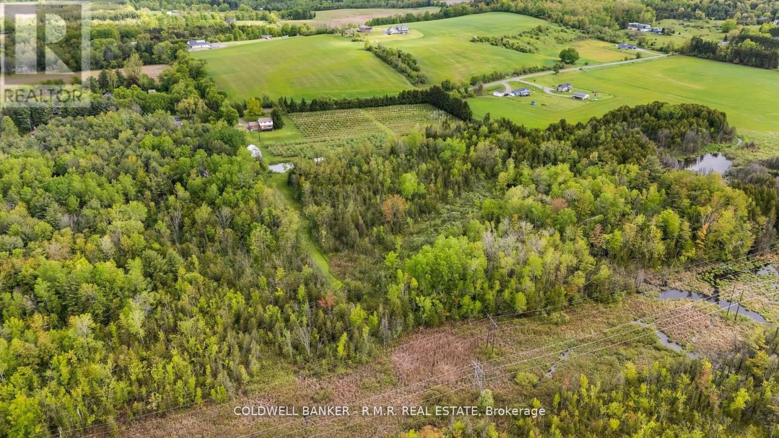 223 Turk Road, Alnwick/haldimand, Ontario  K0K 2G0 - Photo 45 - X12374056