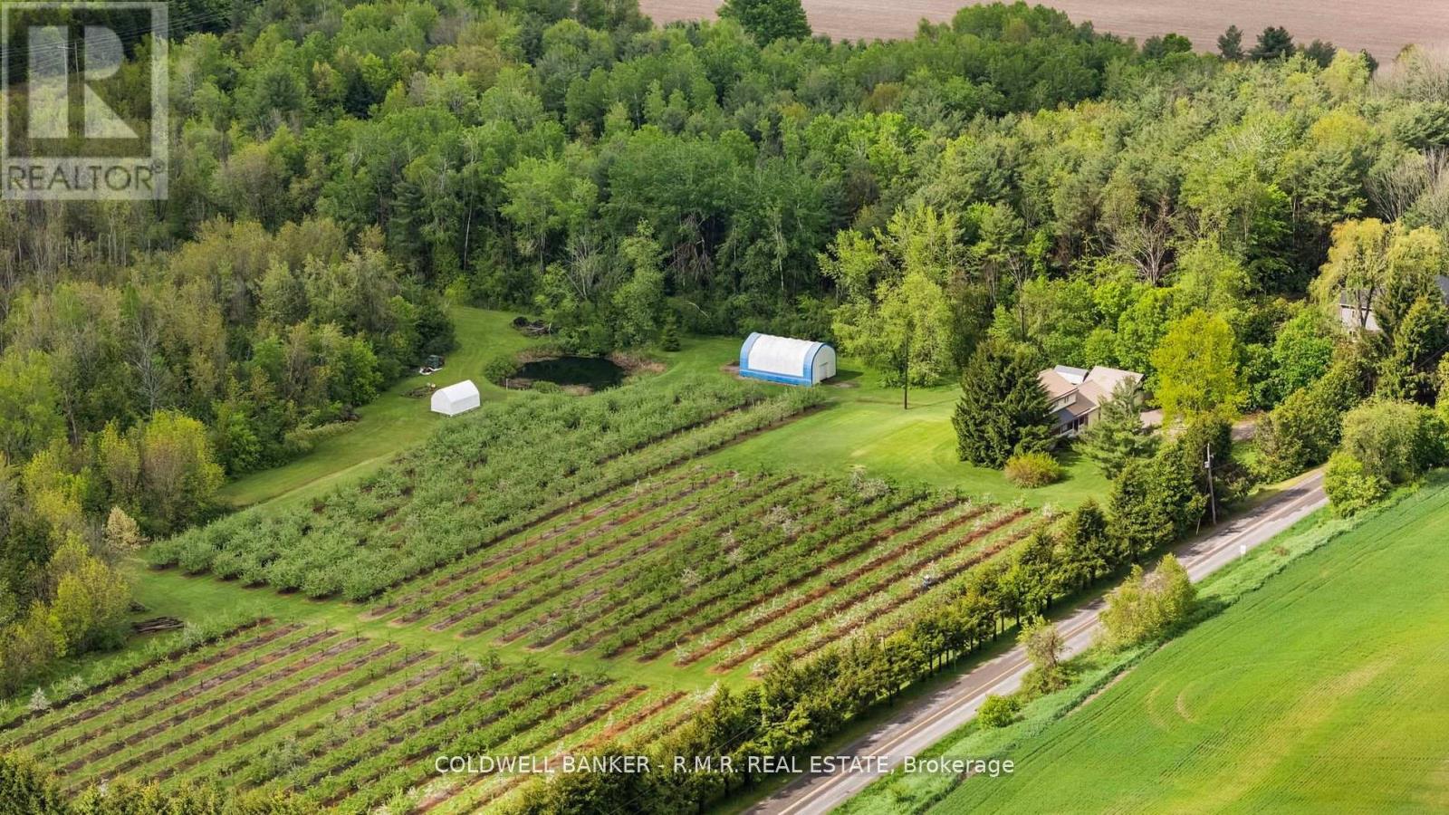223 Turk Road, Alnwick/haldimand, Ontario  K0K 2G0 - Photo 46 - X12374056