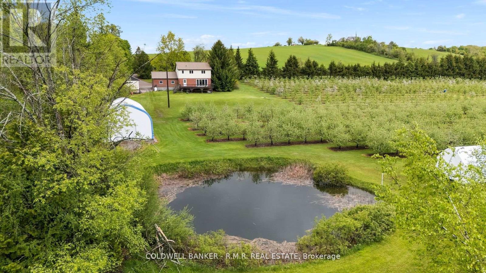 223 Turk Road, Alnwick/haldimand, Ontario  K0K 2G0 - Photo 6 - X12374056