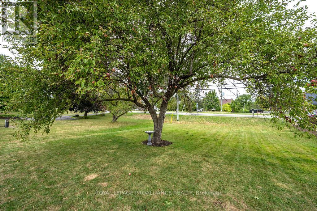 4324 Old 2 Highway, Belleville, Ontario  K8N 4Z4 - Photo 13 - X12382682