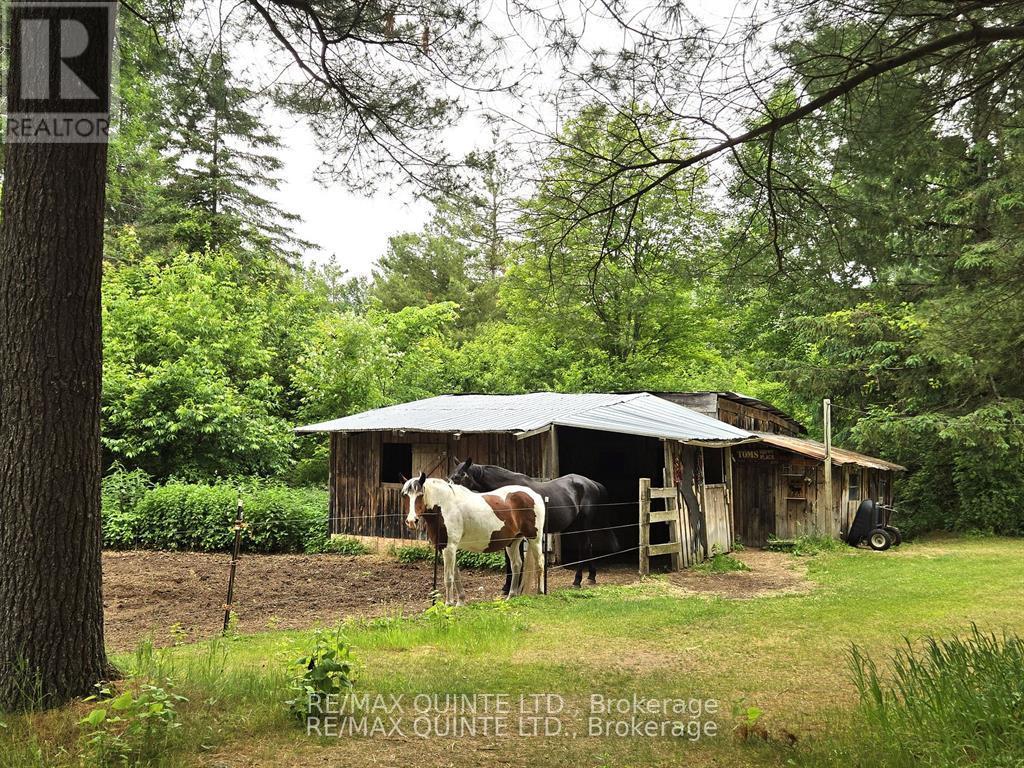 690 Potter Settlement Road, Tweed, Ontario  K0K 3J0 - Photo 43 - X12383582