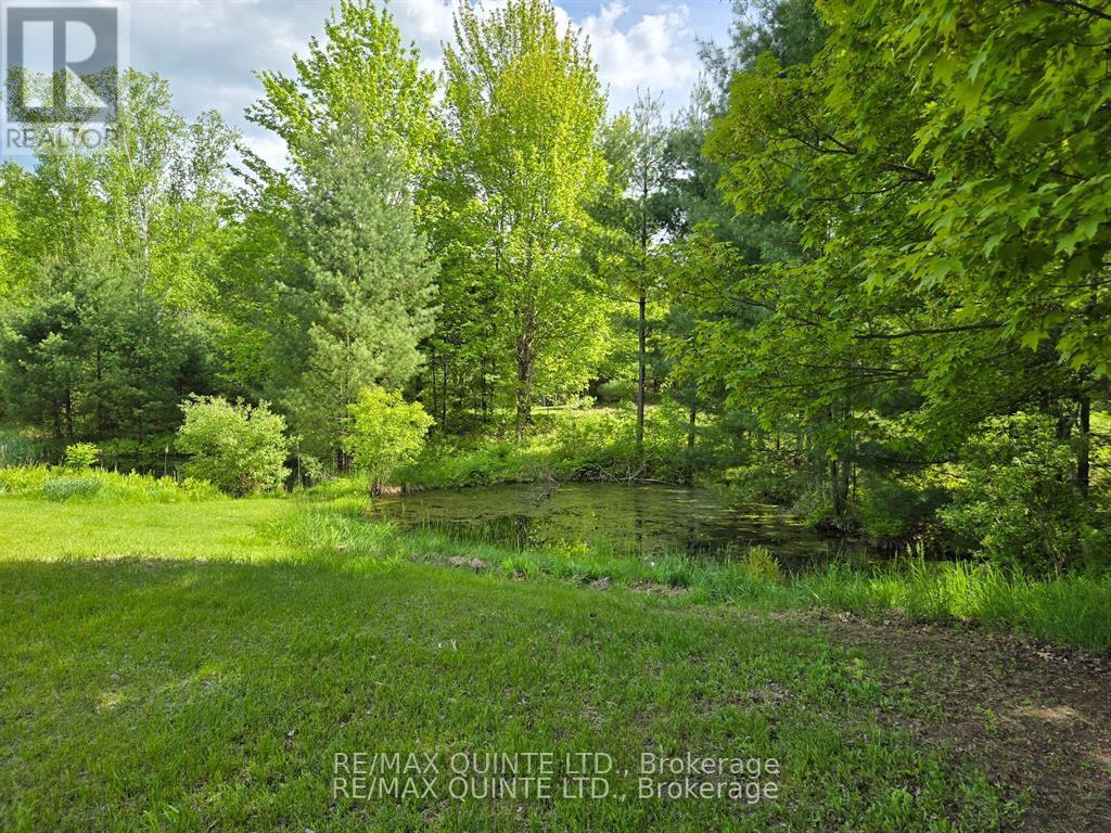 690 Potter Settlement Road, Tweed, Ontario  K0K 3J0 - Photo 8 - X12383582