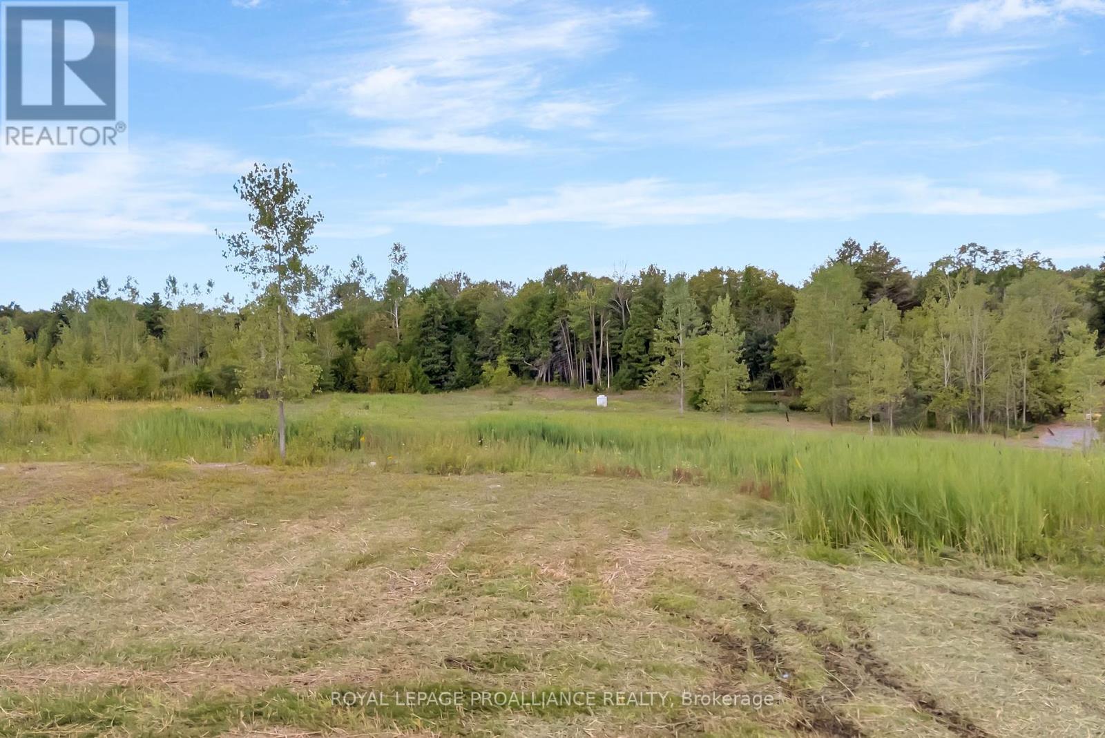 186 Bonn Road, Brighton, Ontario  K0K 1H0 - Photo 9 - X12384105