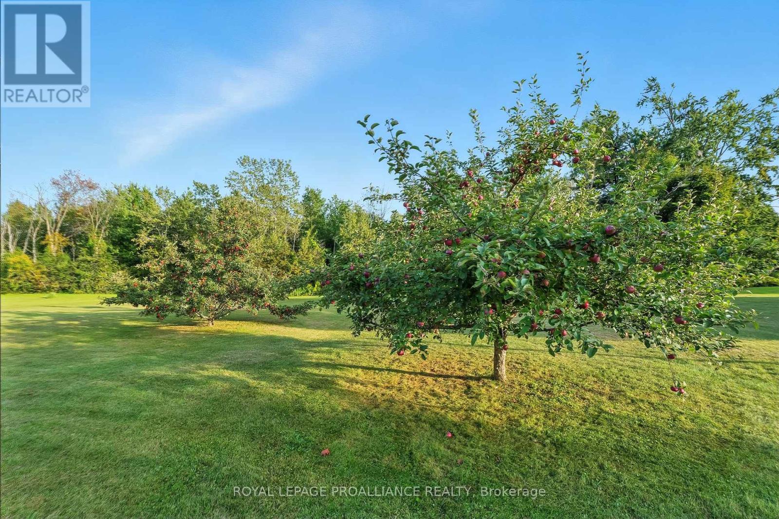 13799 County 21 Road, Cramahe, Ontario  K0K 1S0 - Photo 37 - X12386725