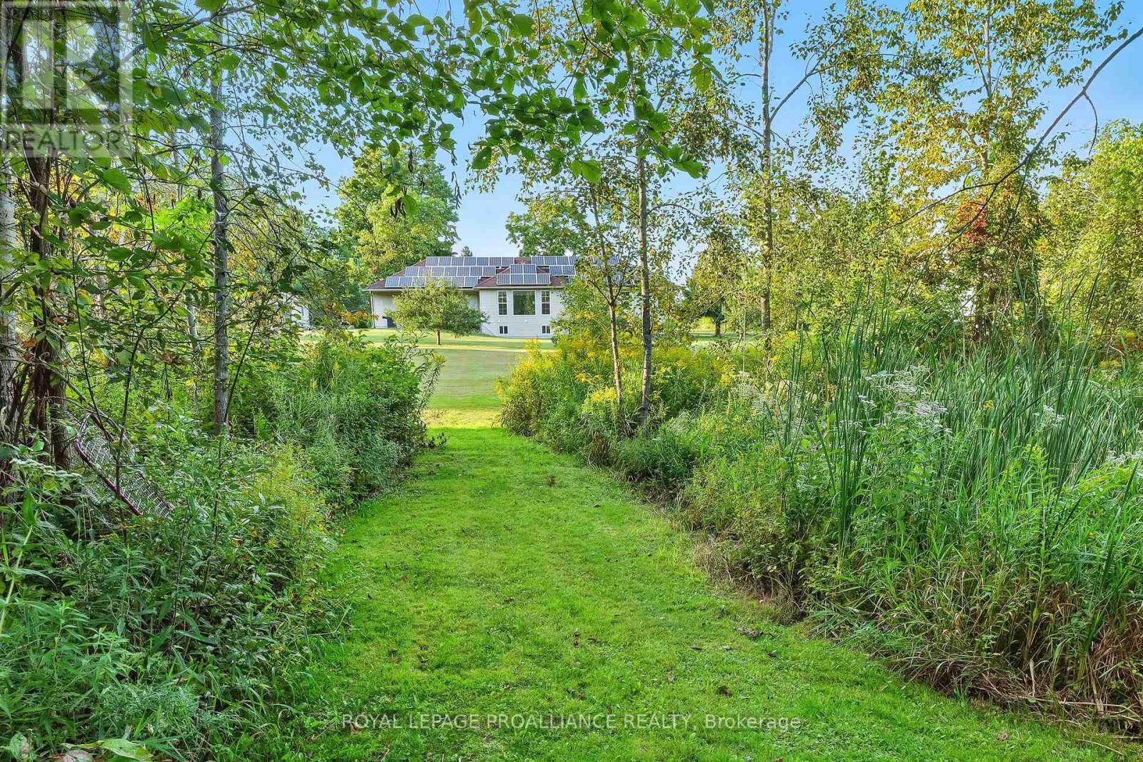 13799 County 21 Road, Cramahe, Ontario  K0K 1S0 - Photo 38 - X12386725