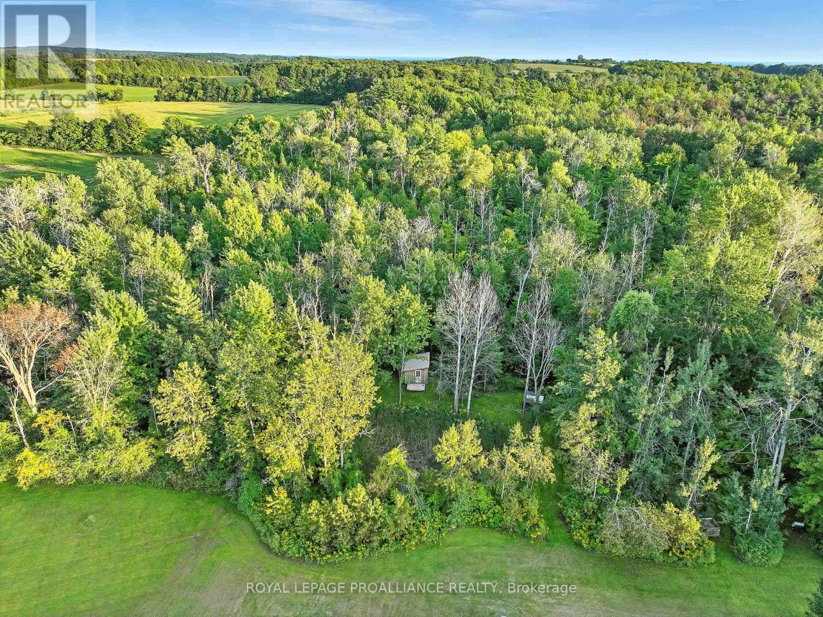 13799 County 21 Road, Cramahe, Ontario  K0K 1S0 - Photo 39 - X12386725