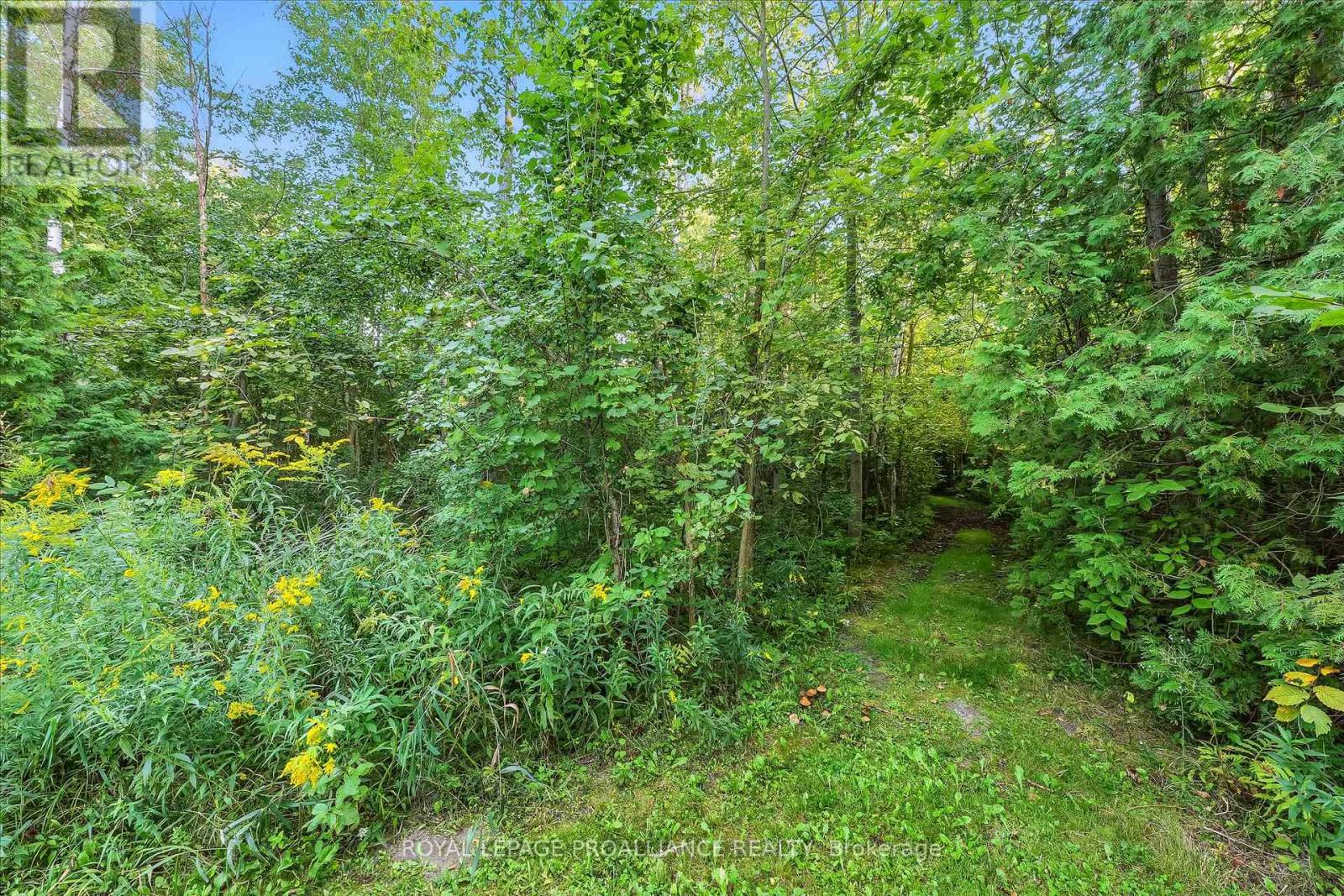 13799 County 21 Road, Cramahe, Ontario  K0K 1S0 - Photo 43 - X12386725