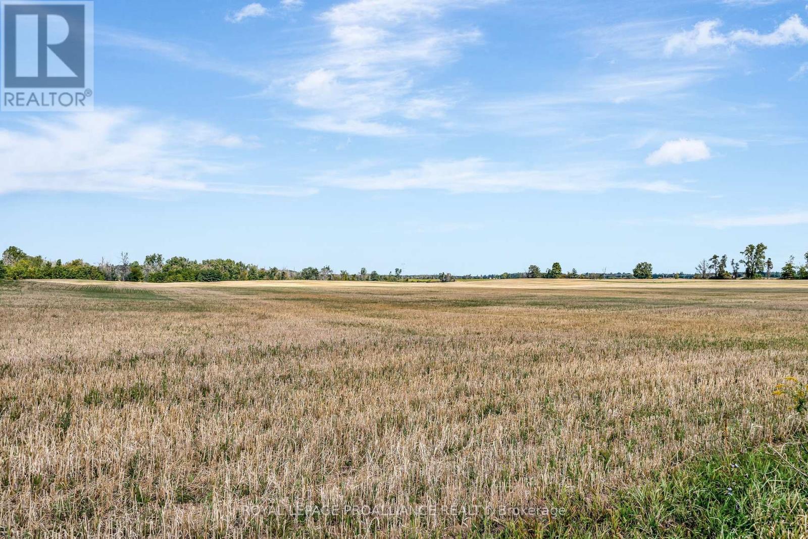 371 Demorest Road, Stirling-Rawdon, Ontario  K0K 3E0 - Photo 50 - X12392153
