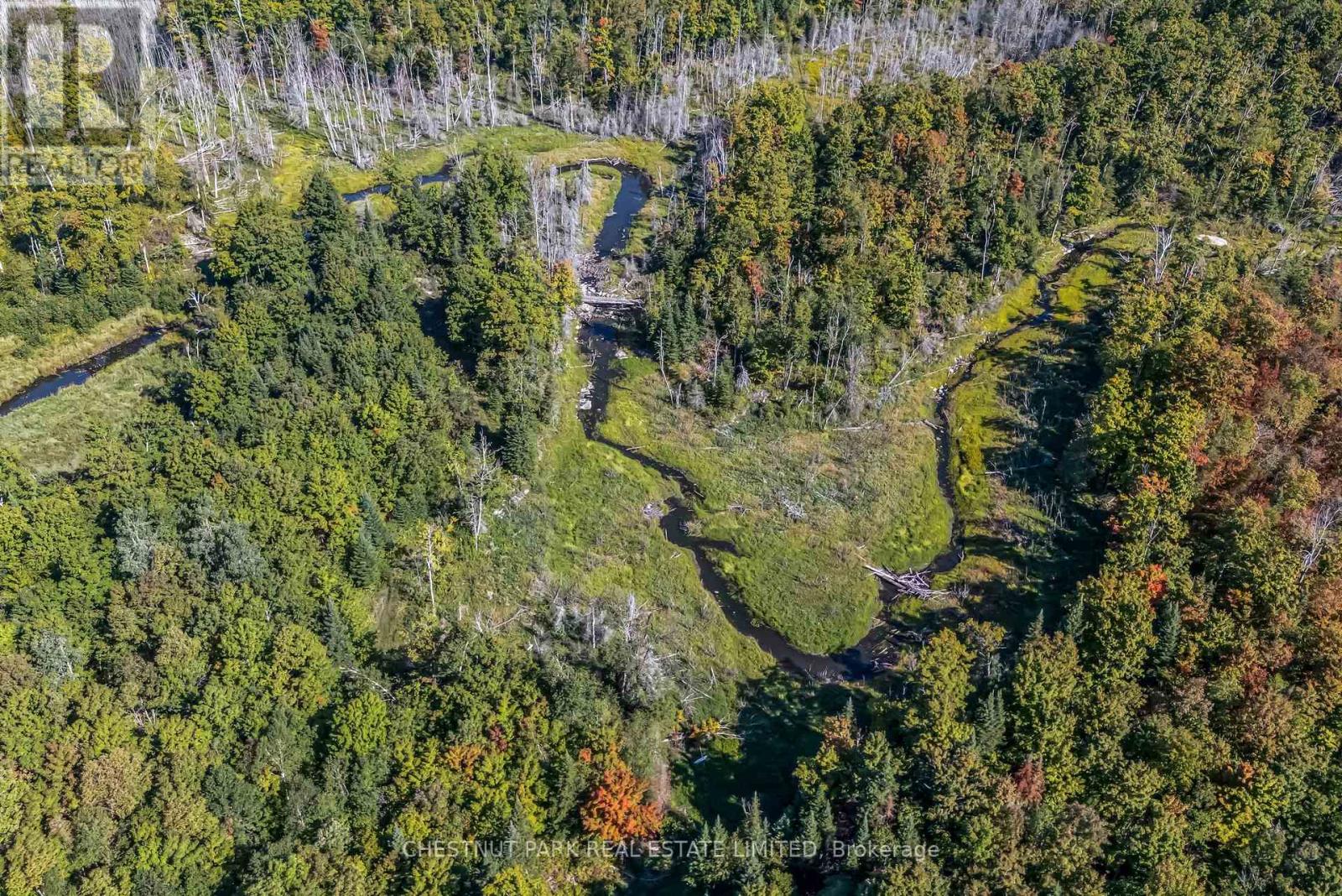 682 Felbers Road, Tudor And Cashel, Ontario  K0K 1Y0 - Photo 3 - X12393936