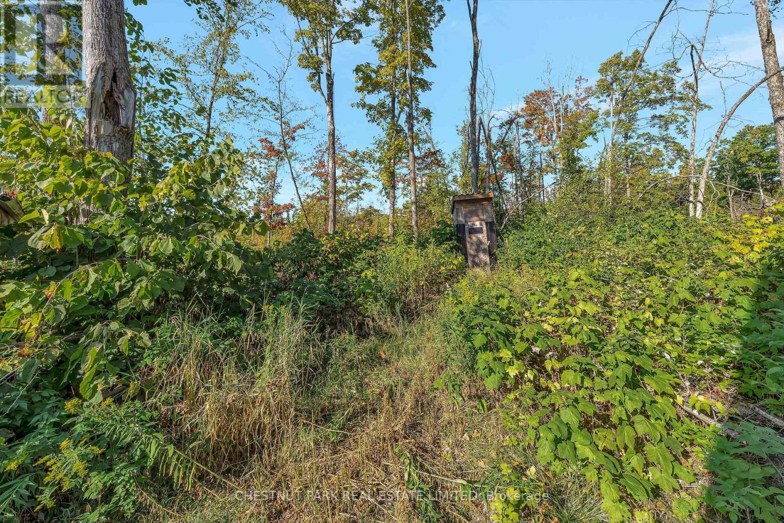682 Felbers Road, Tudor And Cashel, Ontario  K0K 1Y0 - Photo 30 - X12393936