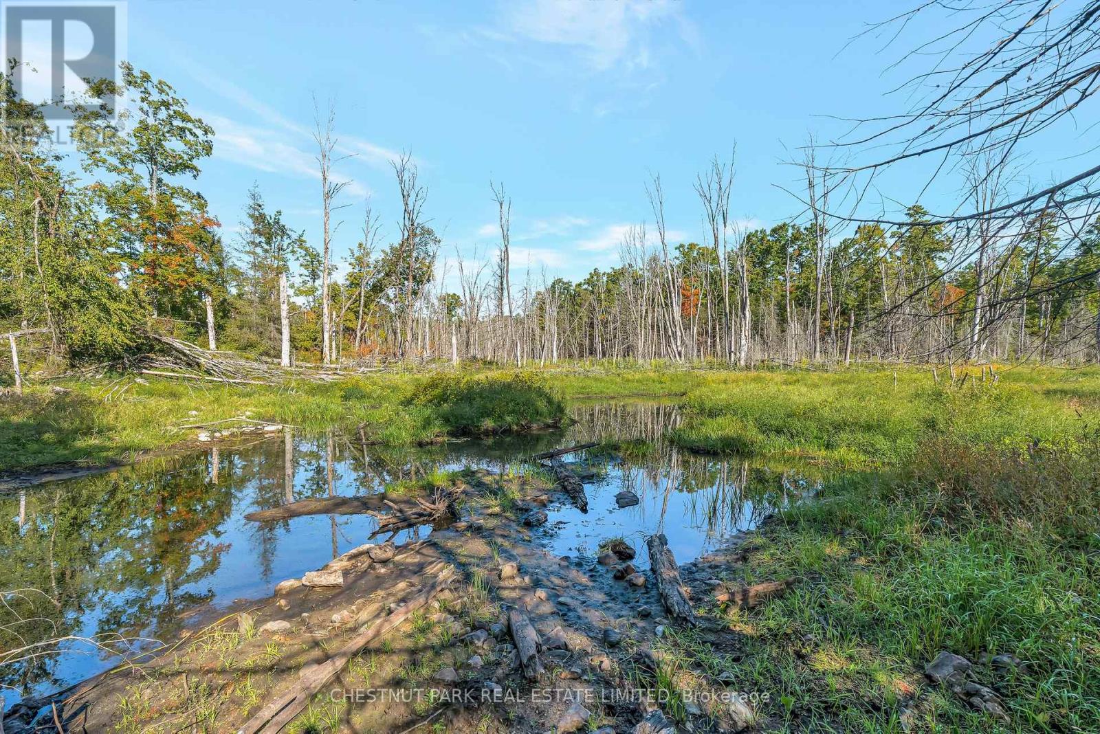 682 Felbers Road, Tudor And Cashel, Ontario  K0K 1Y0 - Photo 33 - X12393936