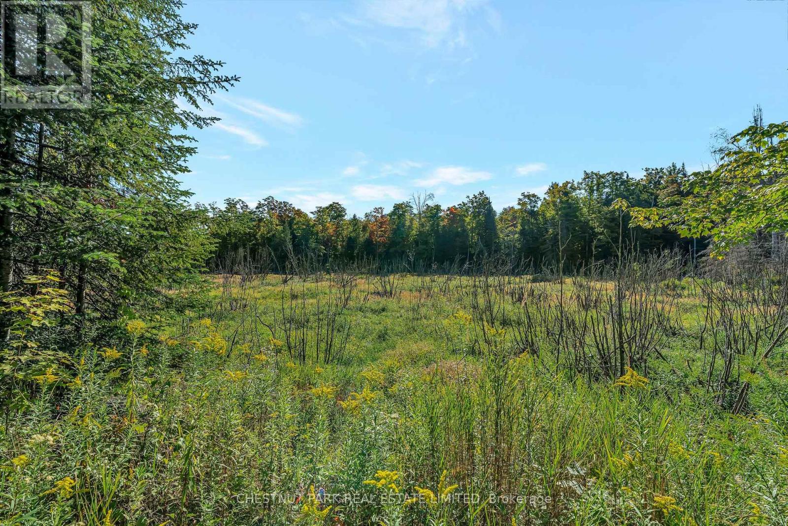 682 Felbers Road, Tudor And Cashel, Ontario  K0K 1Y0 - Photo 41 - X12393936
