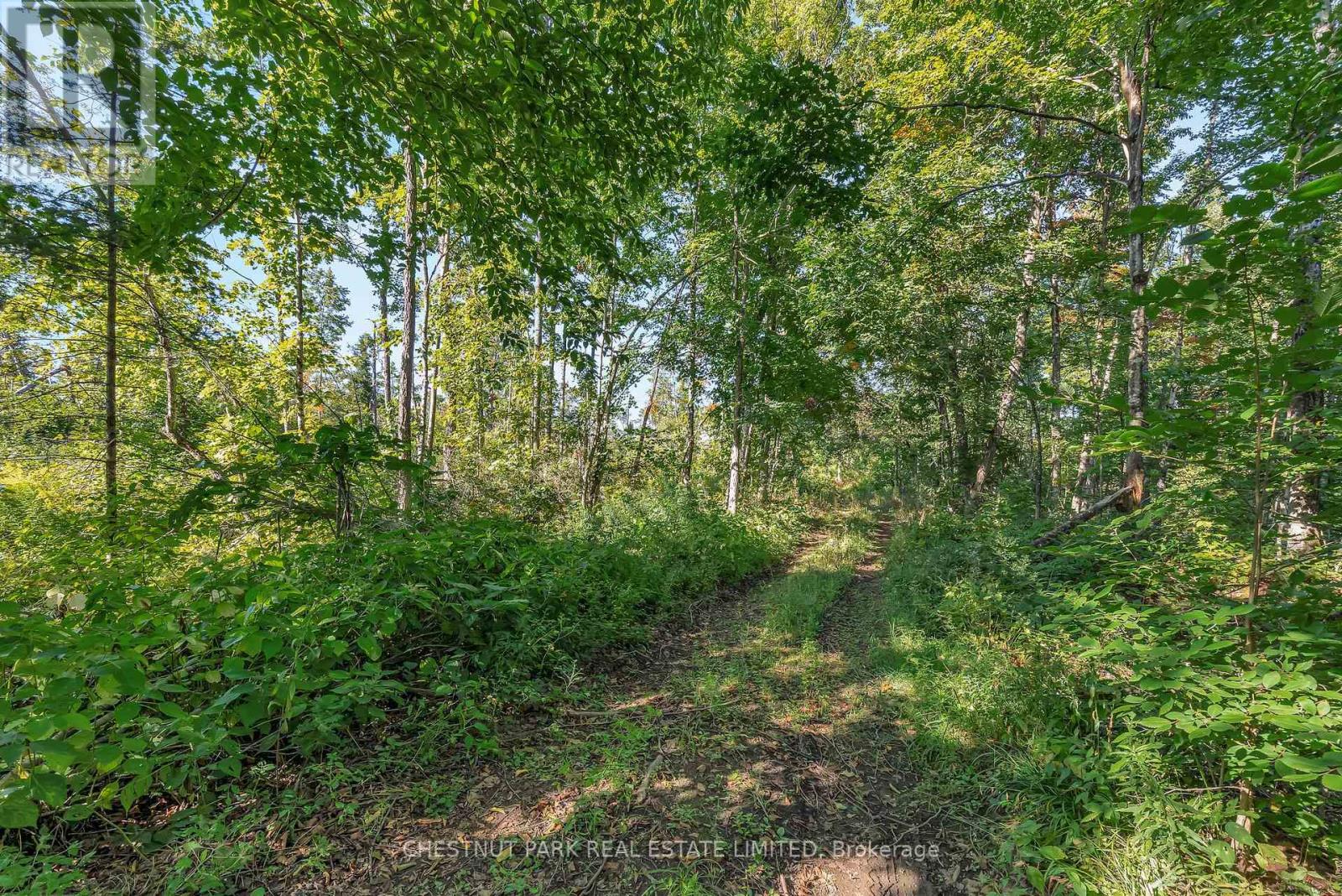 682 Felbers Road, Tudor And Cashel, Ontario  K0K 1Y0 - Photo 45 - X12393936