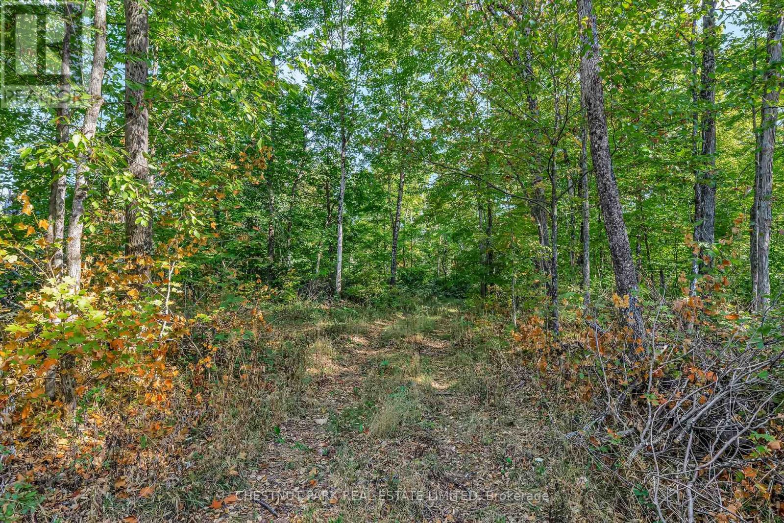 682 Felbers Road, Tudor And Cashel, Ontario  K0K 1Y0 - Photo 47 - X12393936