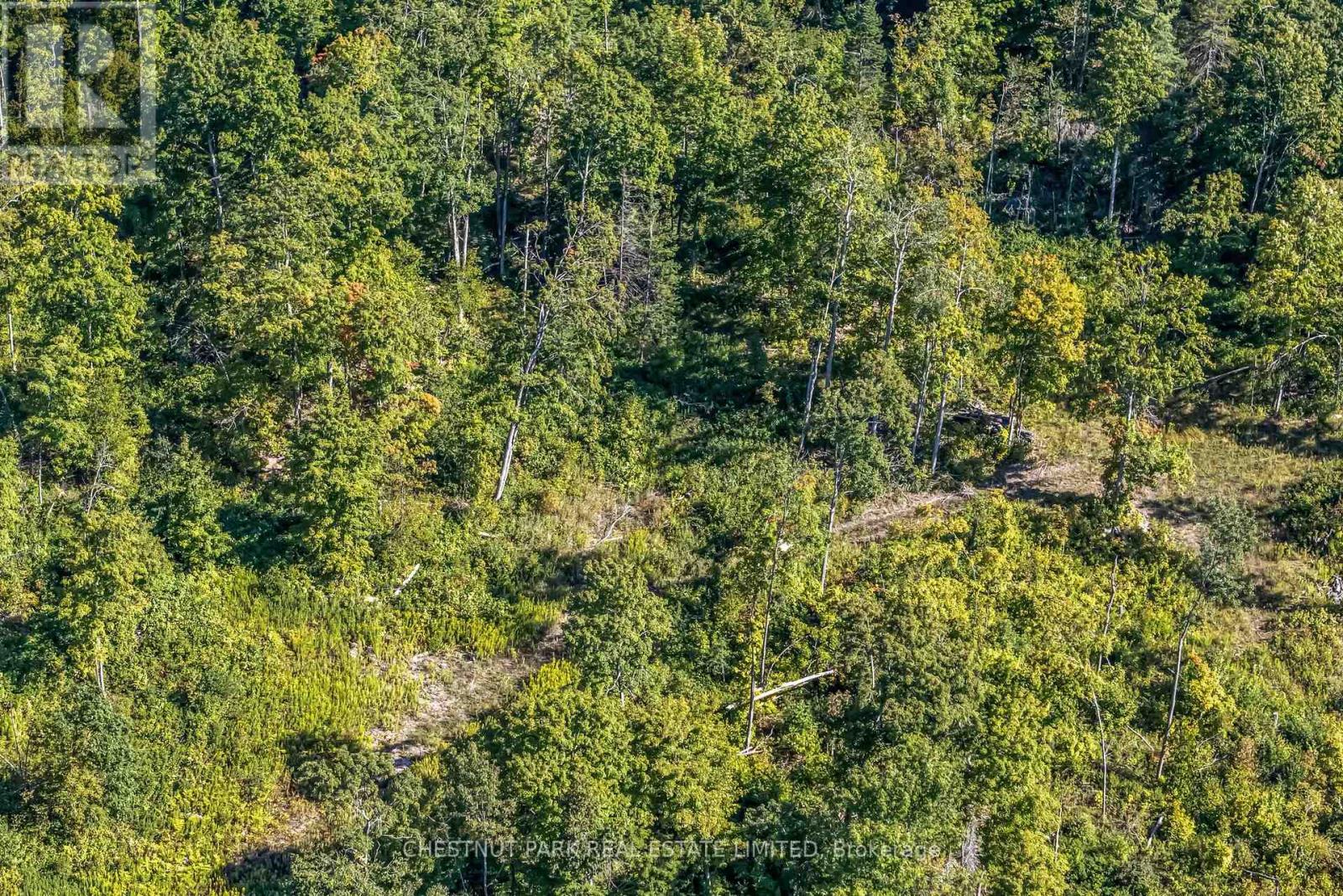 682 Felbers Road, Tudor And Cashel, Ontario  K0K 1Y0 - Photo 6 - X12393936