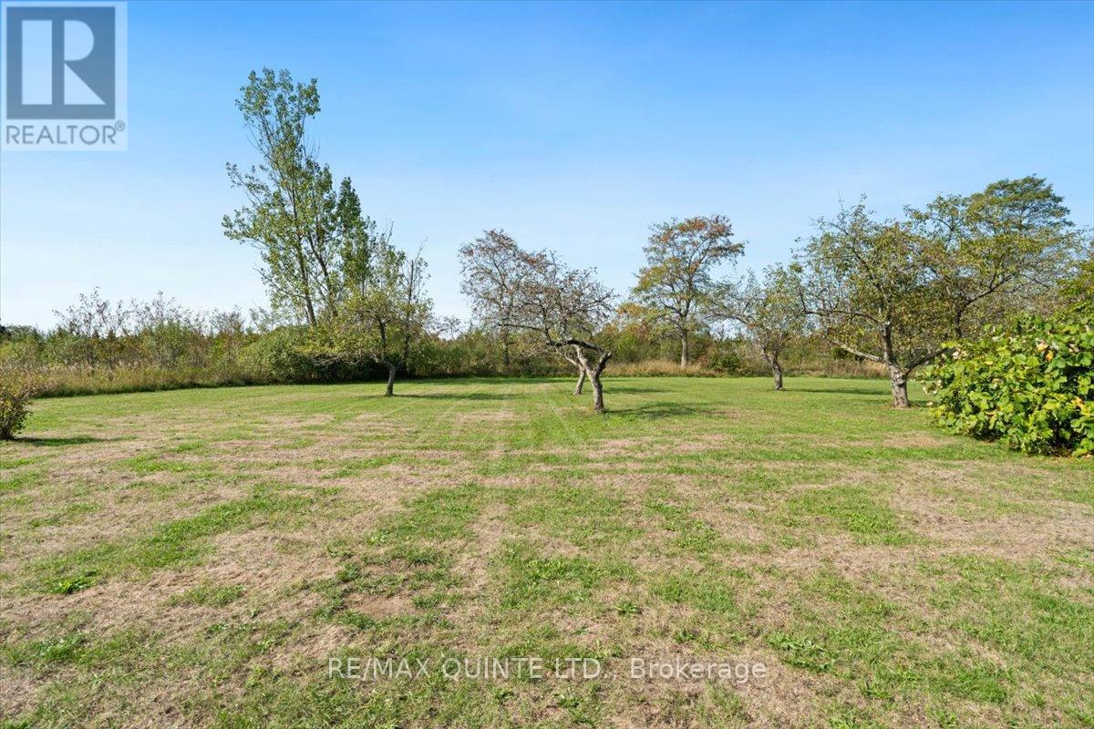 737 County Road 18 Road, Prince Edward County, Ontario  K0K 1P0 - Photo 43 - X12394541