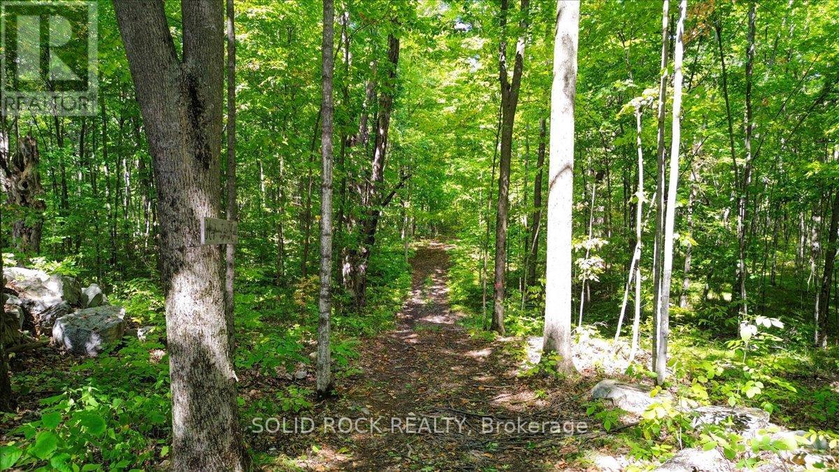 400 Pigden Road, Madoc, Ontario  K0K 2K0 - Photo 39 - X12394707