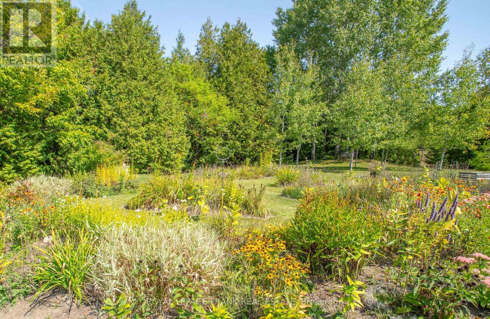 58 Stone Road, Trent Hills, Ontario  K0K 3K0 - Photo 11 - X12396233