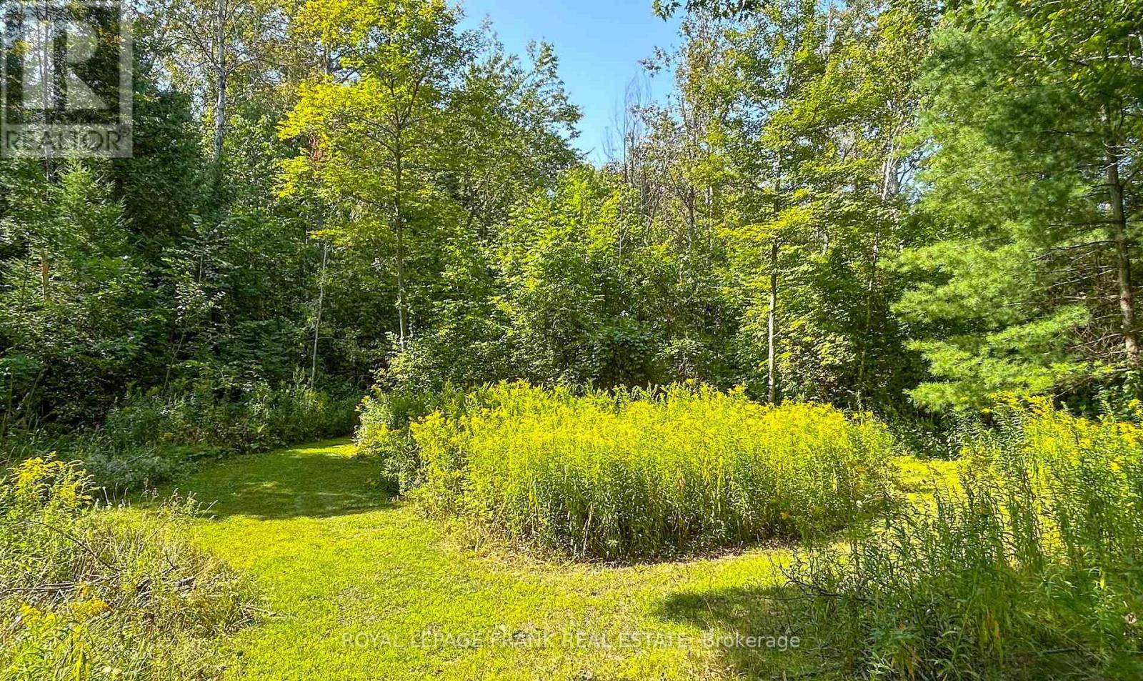 58 Stone Road, Trent Hills, Ontario  K0K 3K0 - Photo 37 - X12396233