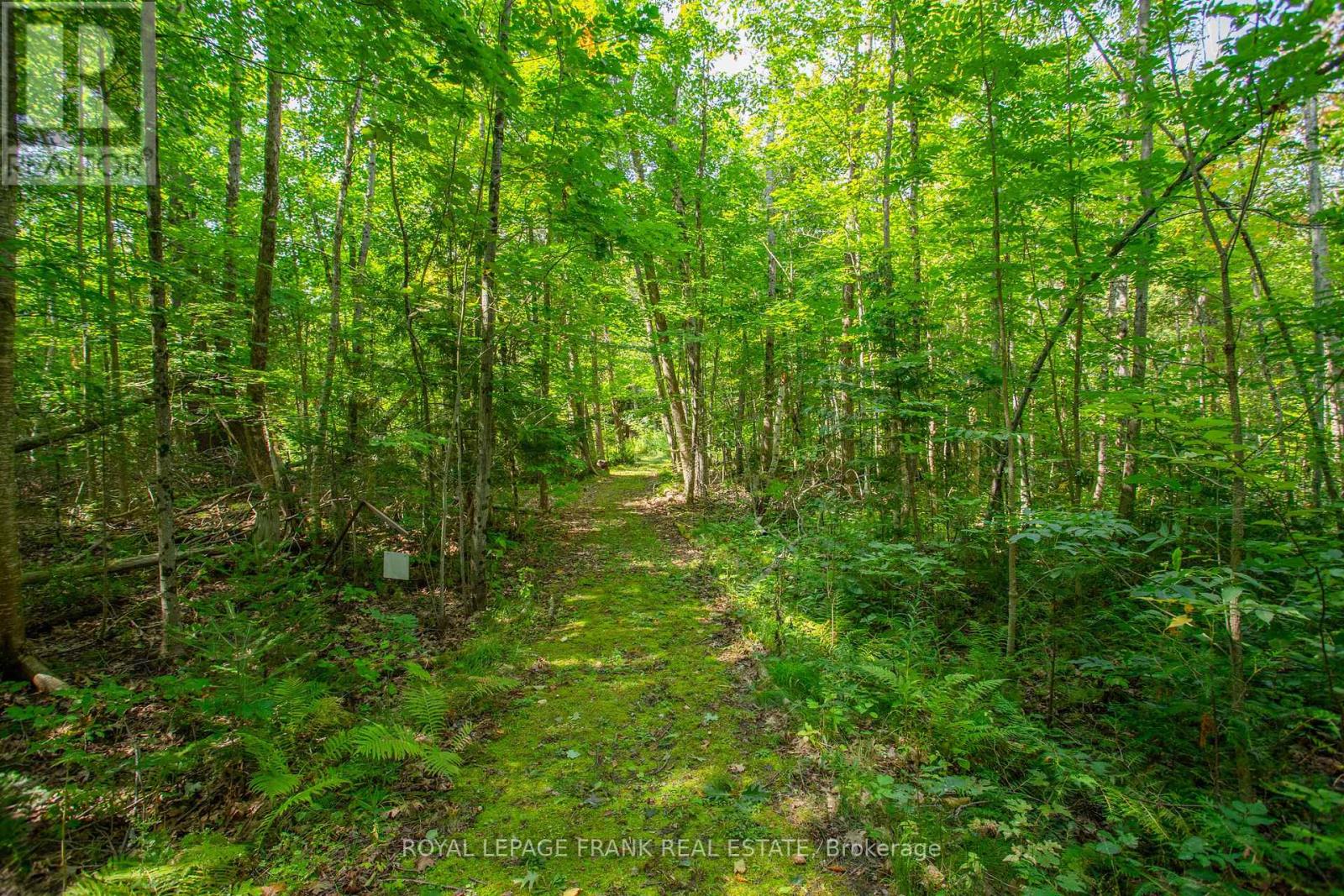58 Stone Road, Trent Hills, Ontario  K0K 3K0 - Photo 39 - X12396233