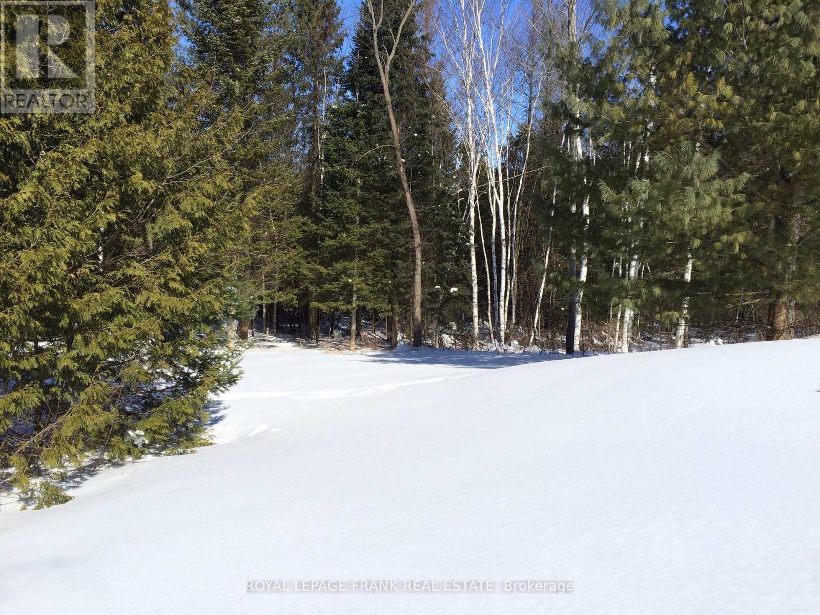 58 Stone Road, Trent Hills, Ontario  K0K 3K0 - Photo 45 - X12396233