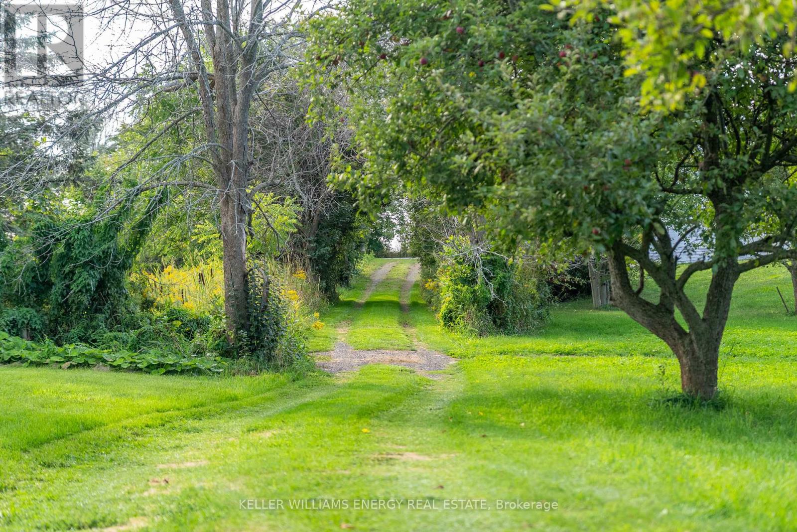 2657 County Road 13, Prince Edward County, Ontario  K0K 2T0 - Photo 36 - X12400938