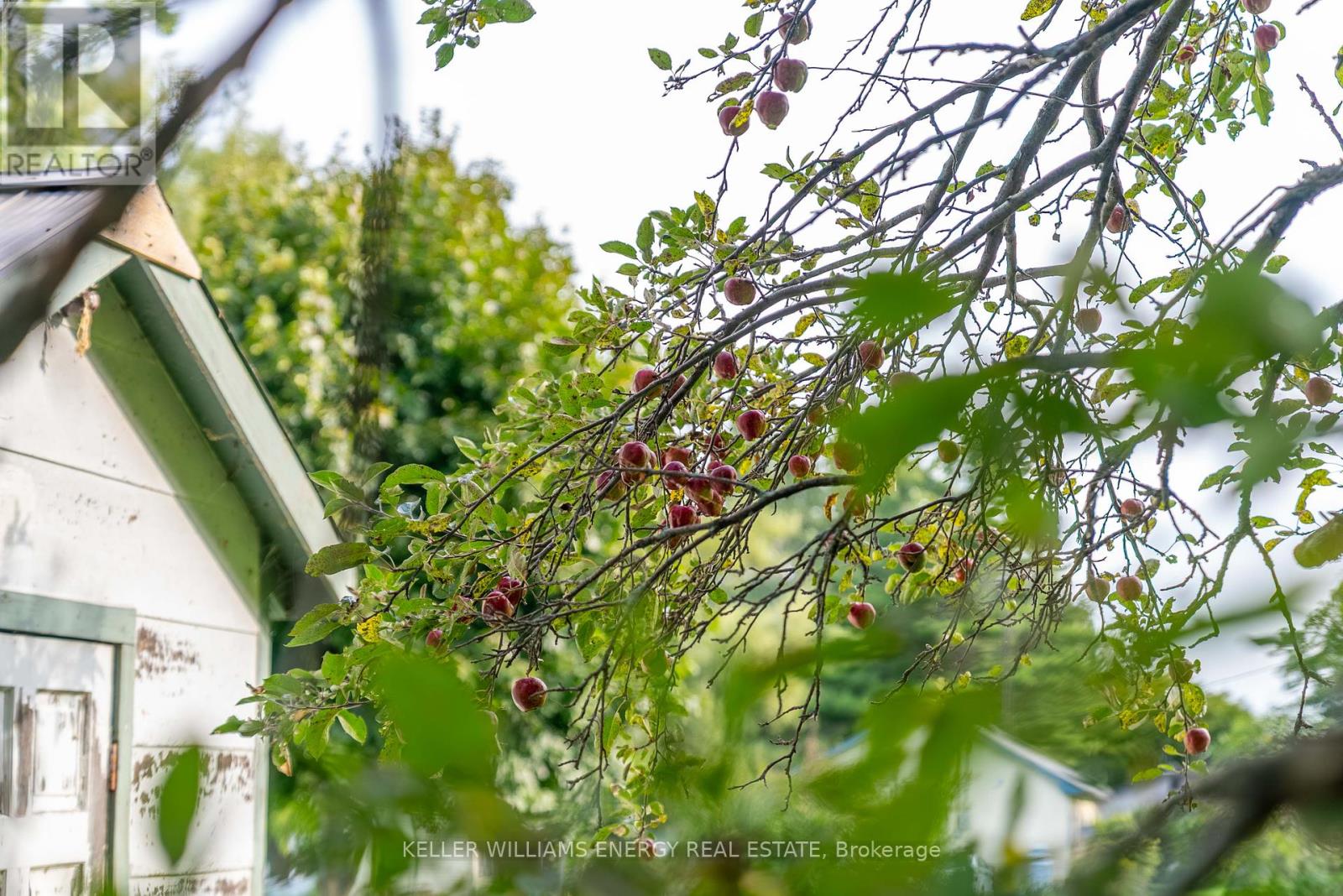 2657 County Road 13, Prince Edward County, Ontario  K0K 2T0 - Photo 42 - X12400938