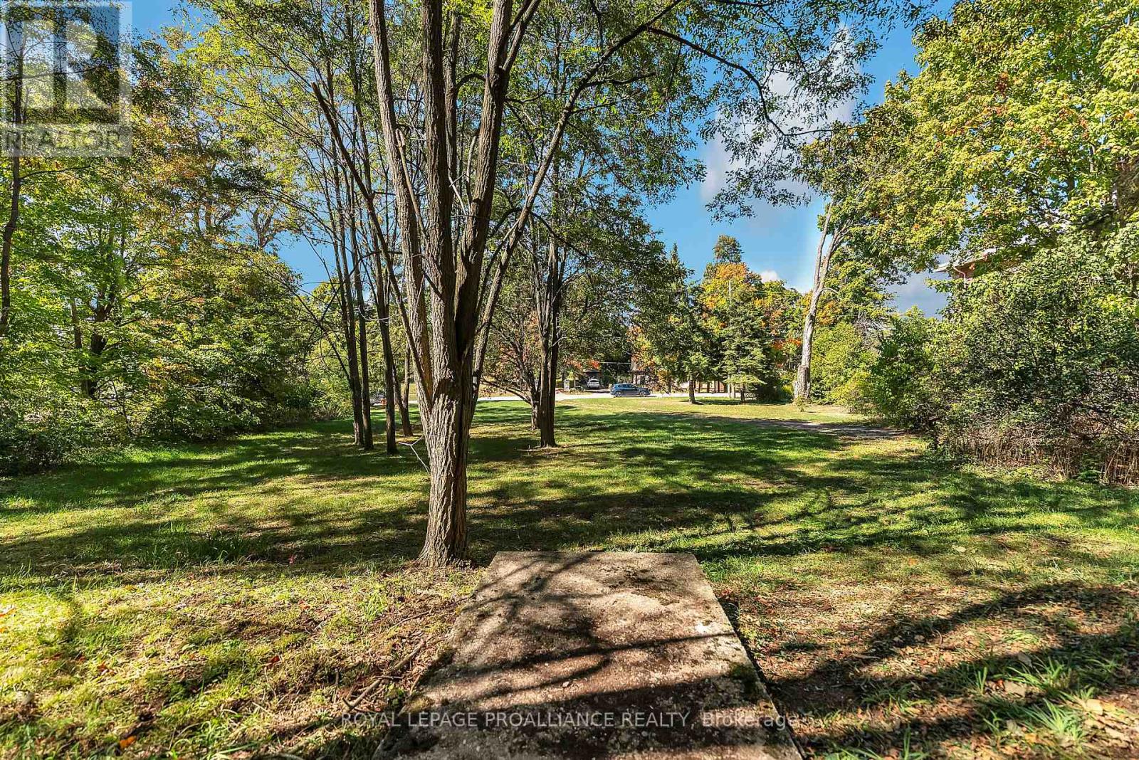 187 Durham Street, Centre Hastings, Ontario  K0K 2K0 - Photo 48 - X12404683